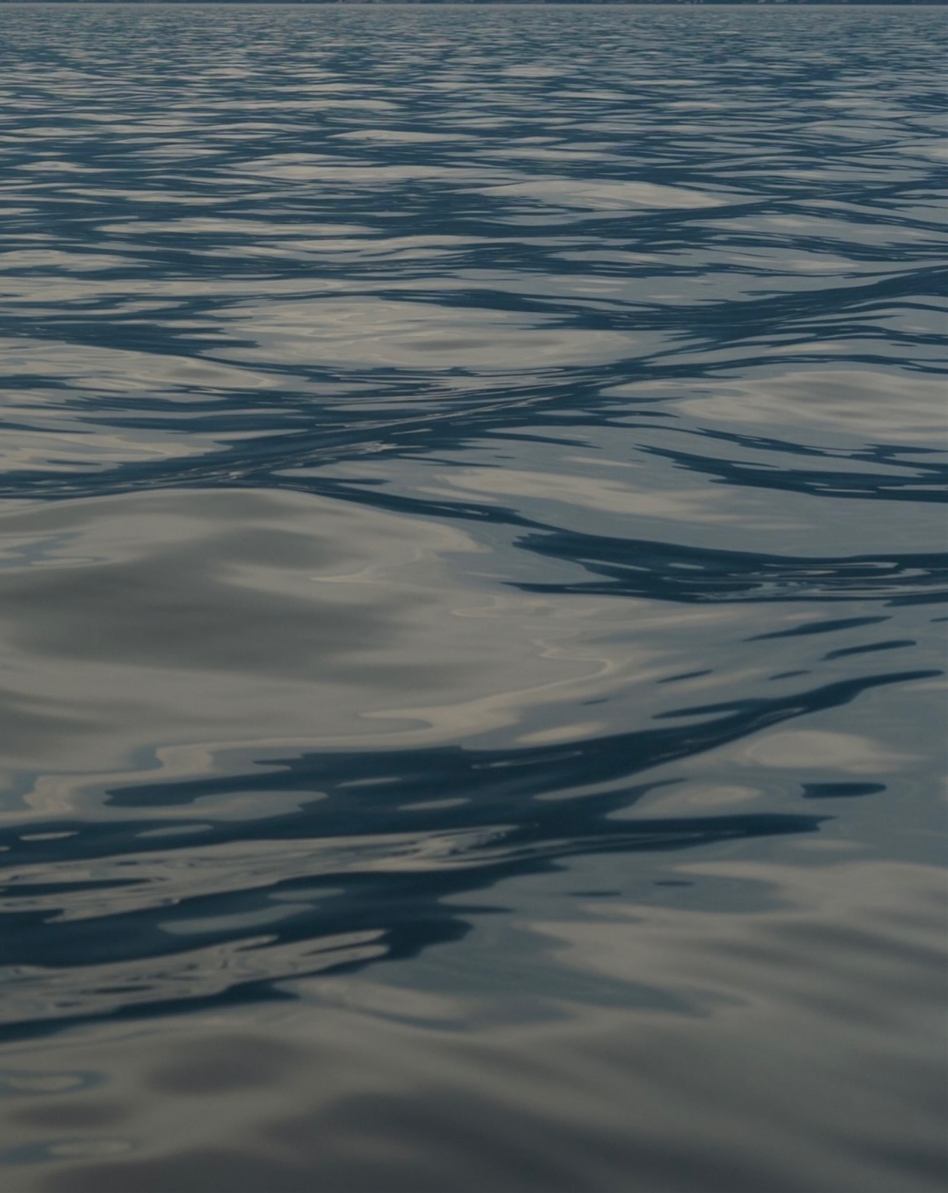 🤍
#lakegarda #wedding #weddingphotography #destinationwedding #weddingdetails #hochzeitsfotos #lakegardawedding #italywedding #marinaandchris #marinaandchrisphotography