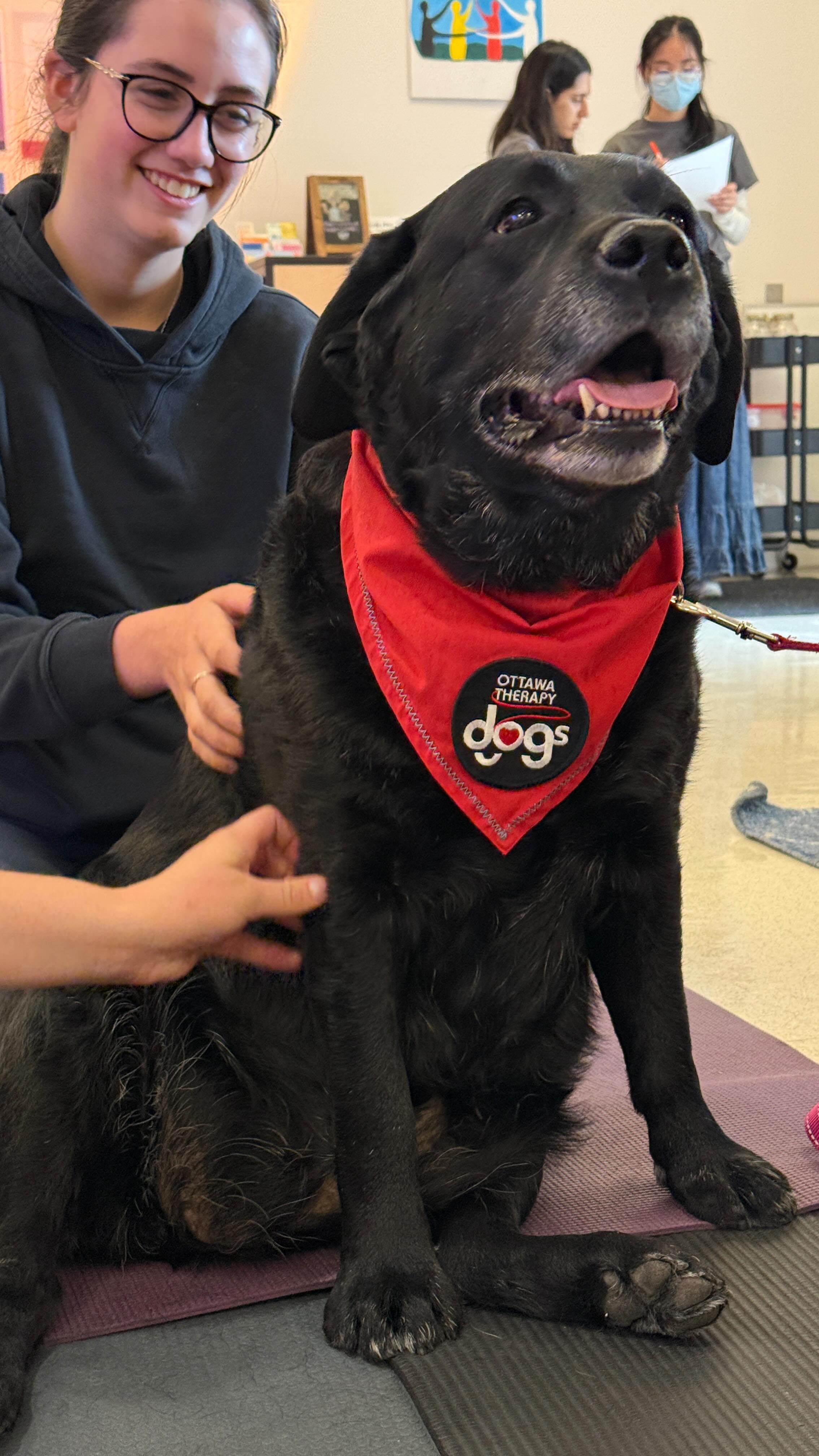 Three of our Ottawa Therapy Dogs were so happy to get back to school last week with their fur-iends @uottawa! 
Rikki, Kaos and Douglas loved all the attention and they have decided on the degrees they will pursue this year: 
Rikki - Master of Chillology
Kaos - Master of Tail Wags
Douglas - Master of Belly Rubs 
What grades do you think they earned during this visit? 
#ottawatherapydogs #volunteer #therapydogs #charity #therapydogsofinstagram #donate #ottawadogs #humananimalbond #ottawalife #therapydog #universitylife