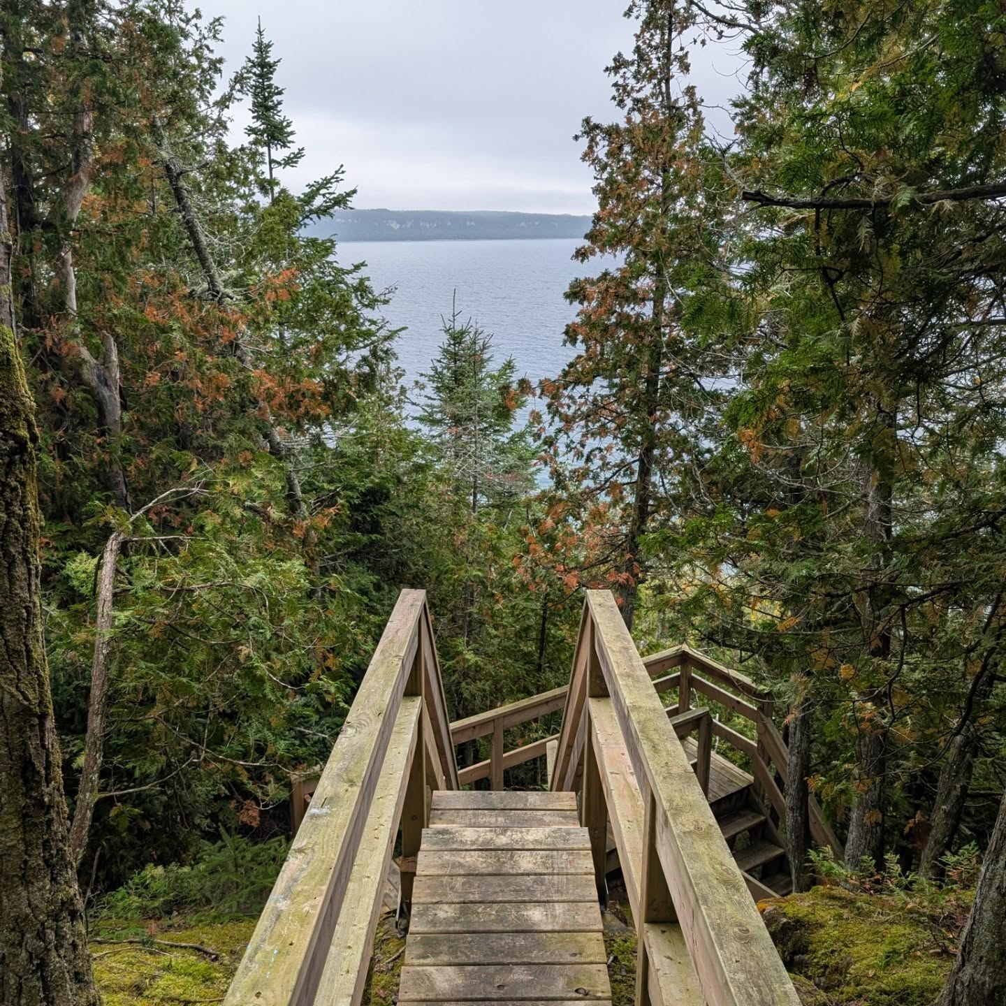 Bruce Trail Day 2 - 44 miles
Dealt with rocky/technical/slow terrain in the morning and evening, in the rain and in the dark. But made good time the rest of the day. Also chased a porcupine down the trail at night for a hundred feet until it finally scampered up a tree.