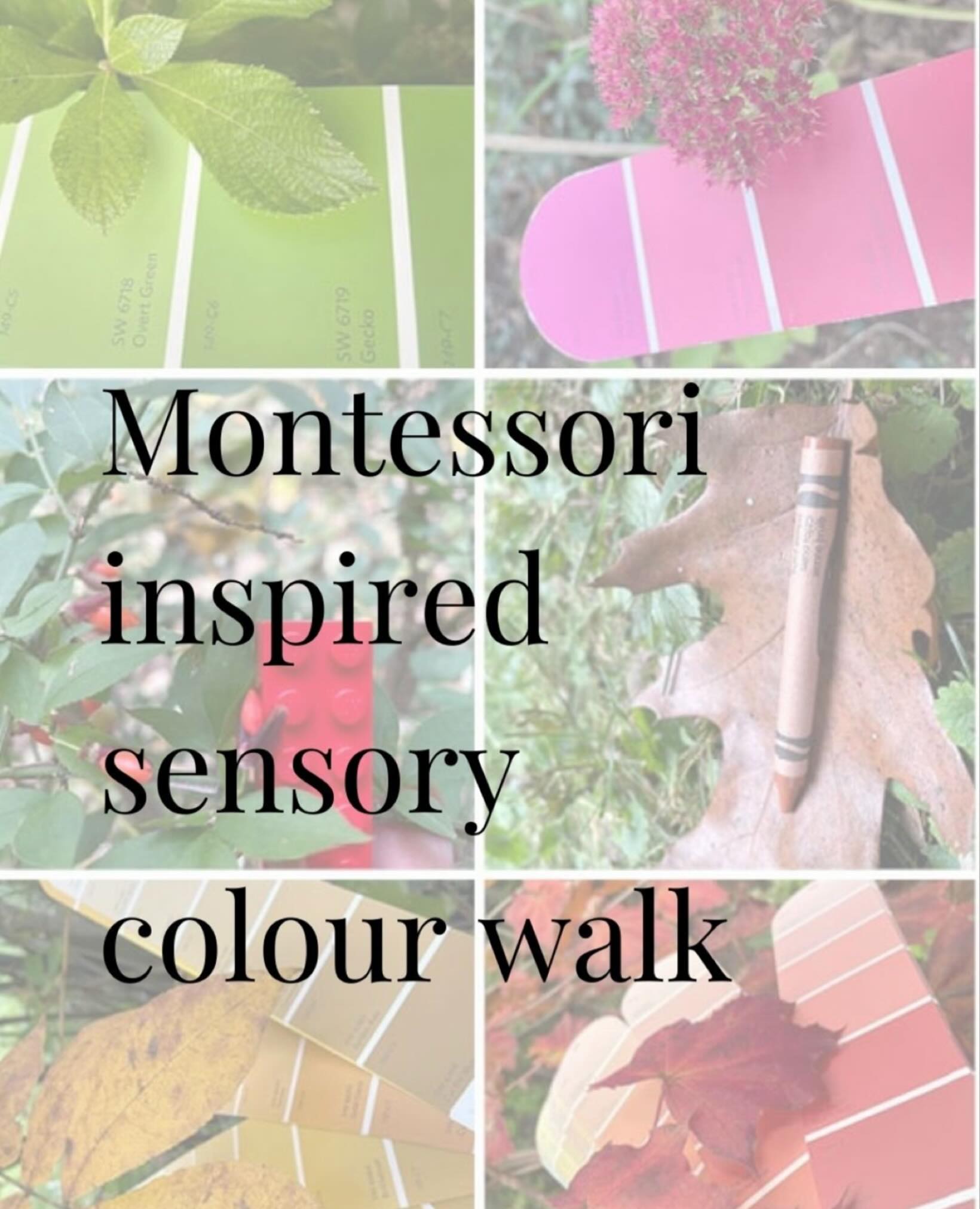 🌿 Montessori-Inspired Sensory Colour Walk 🌿
On your next walk, bring along a simple colour chart (a homemade sheet or paint swatches works perfectly) and invite your child to match the treasures they find such as leaves, berries, and pebbles to the colours.
In true Montessori style, this activity encourages:
• Independence – children lead the search and make their own discoveries.
• Observation & classification – an early science and maths skill.
• Connection to nature – fostering respect and curiosity for the world around them.
• Language development – naming colours, textures, and objects they find.
It’s an easy way to turn an everyday walk into meaningful, hands-on learning.
If you give it a try, we’d love to see your colour discoveries in the comments!