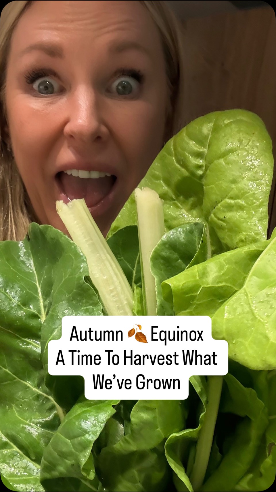 The Autumn 🍂 Equinox whispers of balance and change, a time to gather what we’ve nurtured 🌱, in the soil and in the soul. A season of gratitude 🙏 for what has passed, what is present, and what is yet to unfold.
This is one of my go-to recipes because it’s nourishing, quick, easy, and always a winner with my family 💛.
1 Onion 🧅
2 Garlic Cloves
1 Pack Mushrooms 🍄🟫
Chard or Spinach
Sautéed in olive oil and seasoned with mixed herbs, salt & pepper
8 Organic Eggs
1 Block of Feta Cheese
Rub down dish
Bake 180 degrees Celsius for 30 mins
#debbielashyoga #healthcoach #autumnequinox #harvesting #homegrown #organic #madewithlove