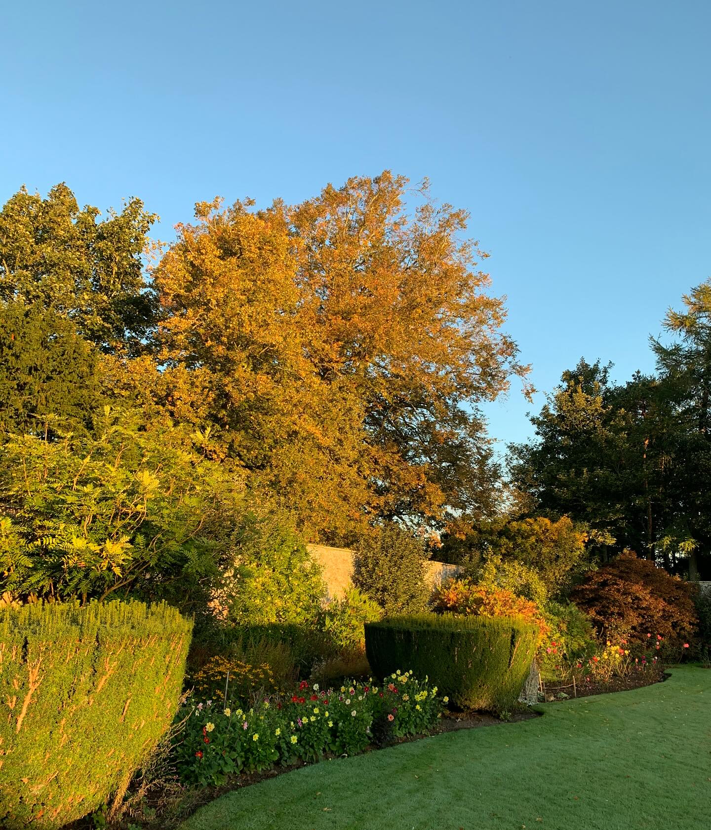 Early morning sun on the east-facing borders.
#thescottishcountrygarden