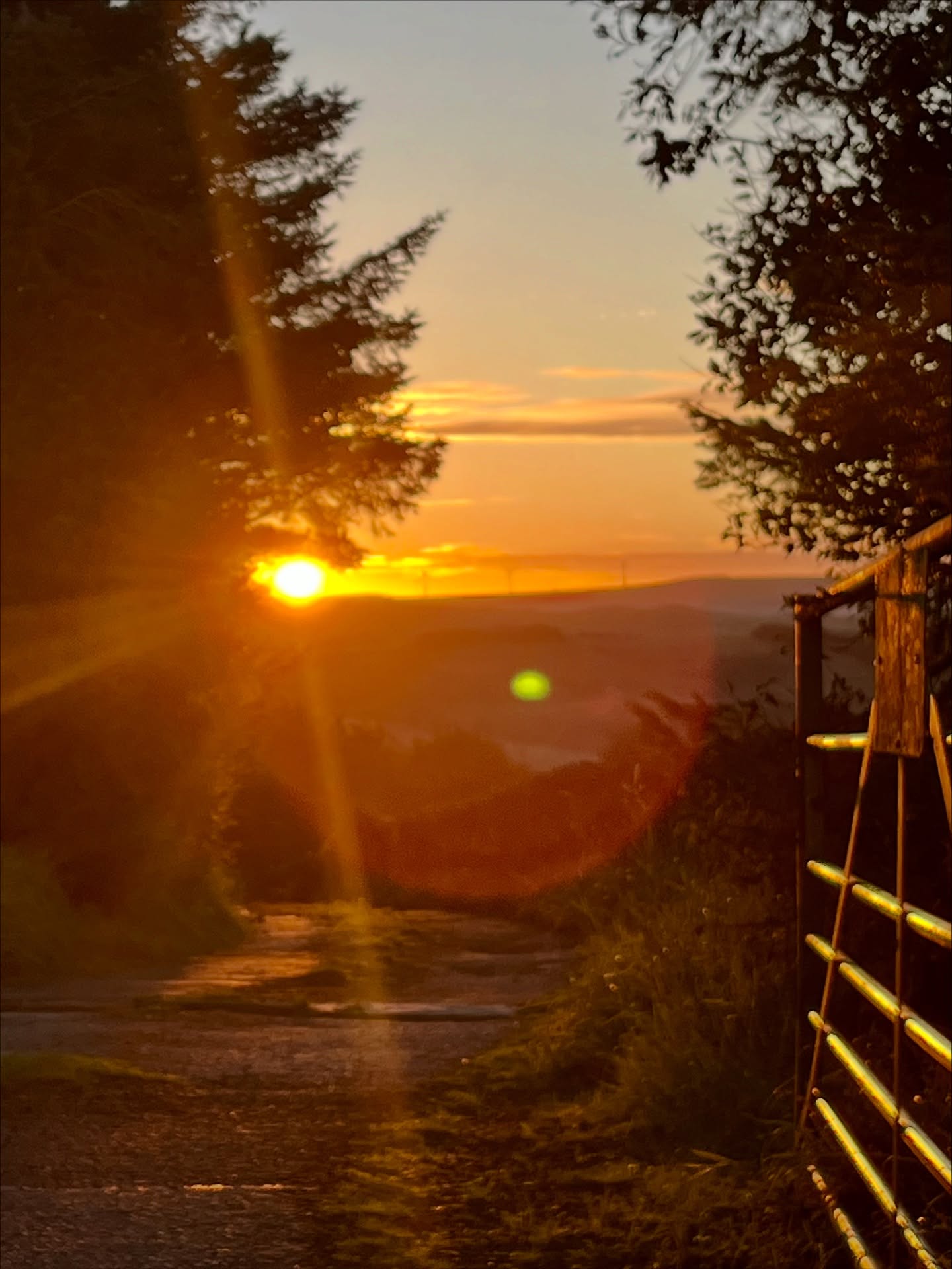 Morning views of Rossendale - Cribden Hill, Halo Haslingden and the views across Rawtenstall towards Waterfoot and Cowpe.
📸✨👌
We get out regularly with Rossendale Vibes Walking Club - find us on Strava or zap us a message for more info.