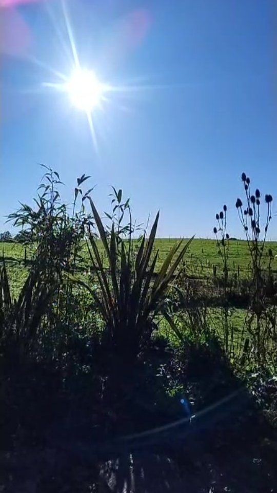 Happy Autumn Equinox
What a beautiful summer we had here, thank you to all our guests who joined us Glamping and visiting for Spa treatments 💚
Feeling so grateful 🙏
We look forward to hosting you over this Autumn season with very special celebrations coming up, where we are collaborating with @lukeconcannonmusic and @tribe_kitchen_vegan 🍁 🎶 🌱
Take care and enjoy this new gentle pace with time for restoration ☀️