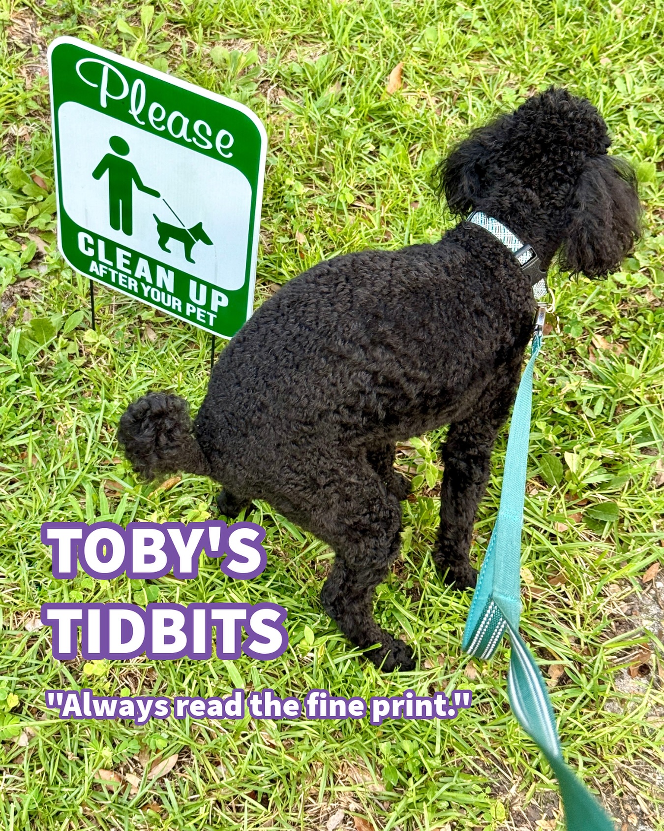 Always read the fine print. Or at least make sure your human does.
The details matter. When scrolling and being bombarded by SO MUCH information, we’ve become quick to judge. Quick to assume. Quick to not add additional context. And we get so worked up. We form our opinions and embed ourselves in them. And we refuse to engage with people who may see things differently. And it’s hurting ourselves and others. We’ve become such a five stars or one star society. No middle ground.
Before you post, or speak, ask yourself: Is this important? Is this true? Is there any information missing? Is this helpful or hurtful?
I’ve been on this “rant” for 15 years or so and AI is only adding to the problem - significantly.
Guard your hearts and minds. If you see false information or images, don’t engage. Us cancer patients, survivors, and caregivers need to fill our feeds with whatever is good, true, and WORTH your time.