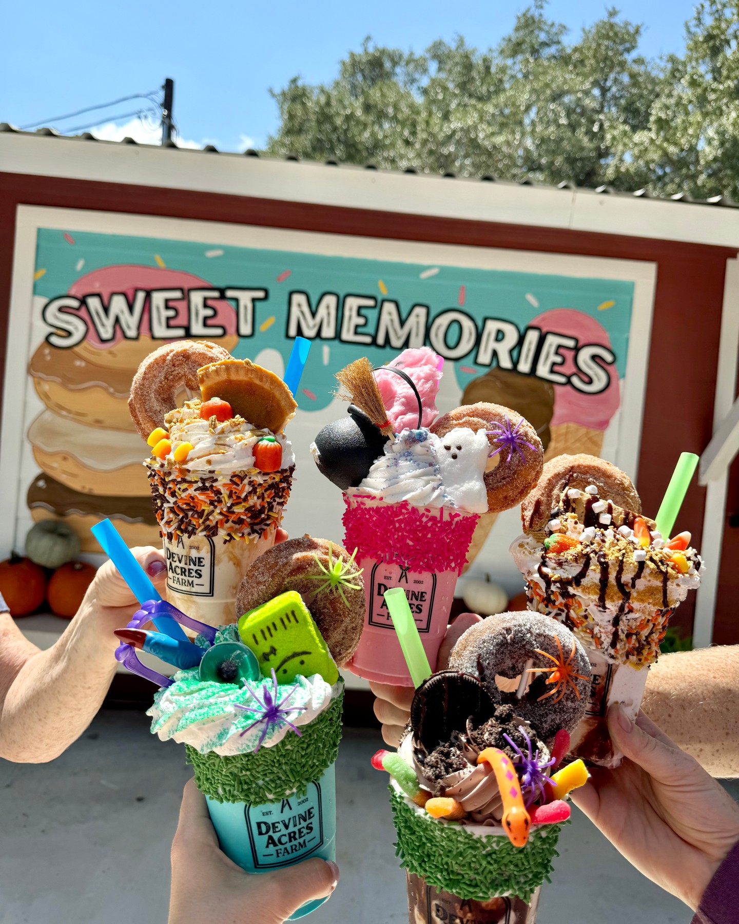 Sweet memories start TOMORROW! ✨🩵🎃
Open 10am-6pm this weekend. Tag your crew and come enjoy the first weekend of fall with us!
devineacresfarm.com