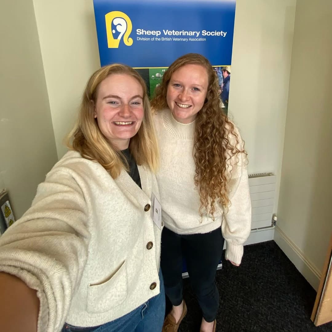 This week vets Rebekah and Sophie attended the Sheep Veterinary Society Autumn Conference! It was 3 days of sheep related lectures from industry experts sharing the latest knowledge 🐑
