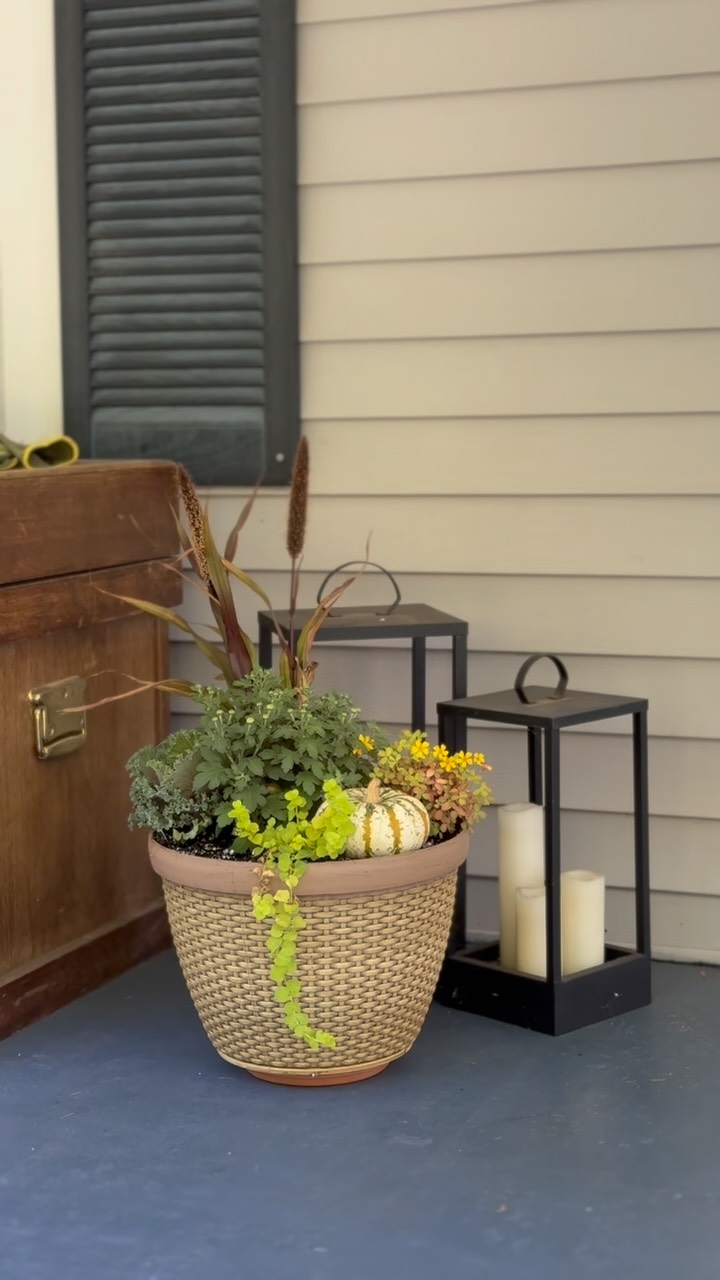 I think Iโm going to load up on pumpkins and mums this weekend since itโs officially fall ๐