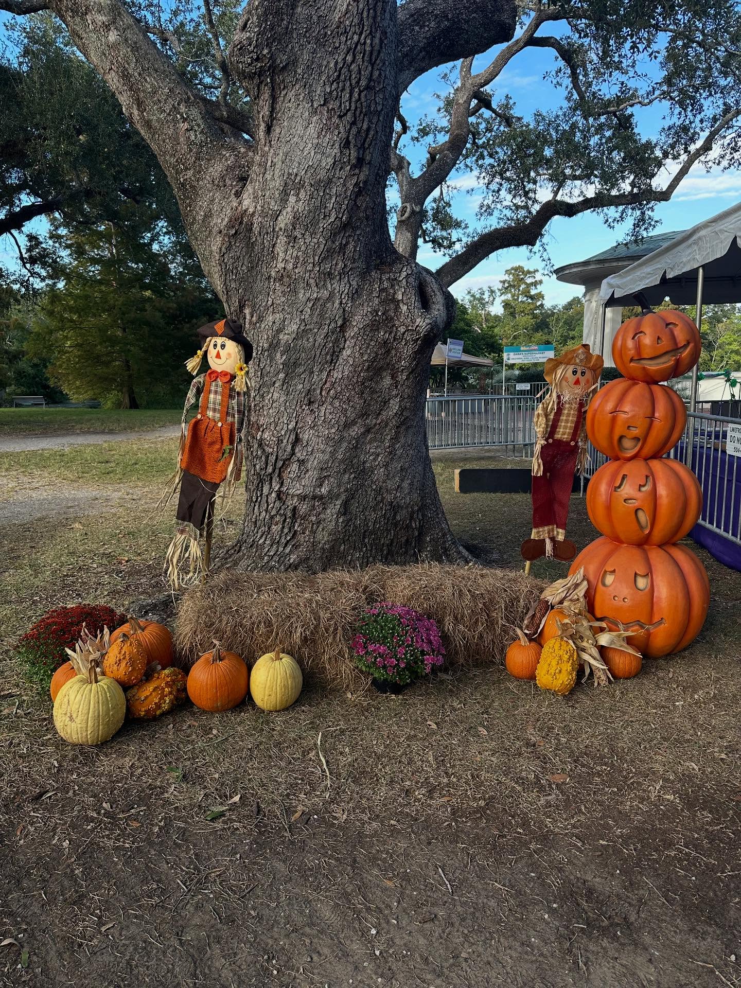 Where Halloween Meets Carnival! 🎭💀👻🎃!
.
The Umbrella Walk & Gumbo Gras is officially 1 month away! Get your tickets now online and get ready to have a great time!
.
This is the perfect family friendly event while giving back to your community!
.
We are all going to eat some wonderful food, have fun and enjoy the festivities under the oaks in Audubon Park!
.
Let’s Go! 🎭🍲☂️