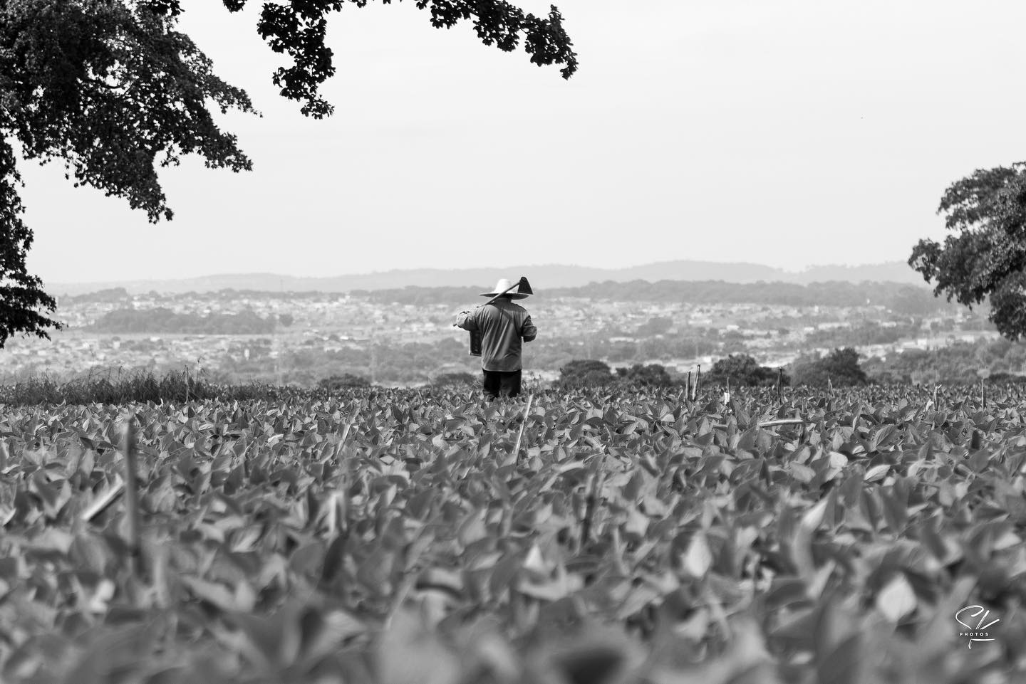 E de repente, como se soprasse um vento suave, ouvi:
“pão nosso de cada dia...”
.
.
.
.
O fotografiando flui a partir da vontade em compartilhar olhares sobre a vida.
Isso inclui o belo, o feio, o agradável e desagradável, todas e as mais variadas linhas da vida que, por um acaso ou não, se enquadre e fique em foco na lente. Memórias que se acumulam e se entrelaçam, formando diversas vidas dentro da vida. Com o anseio de ir escrevendo a luz os “causos” da vida com simplicidade...
#fotografia #pretoebranco #fotografiando #fotografiandosk #campo