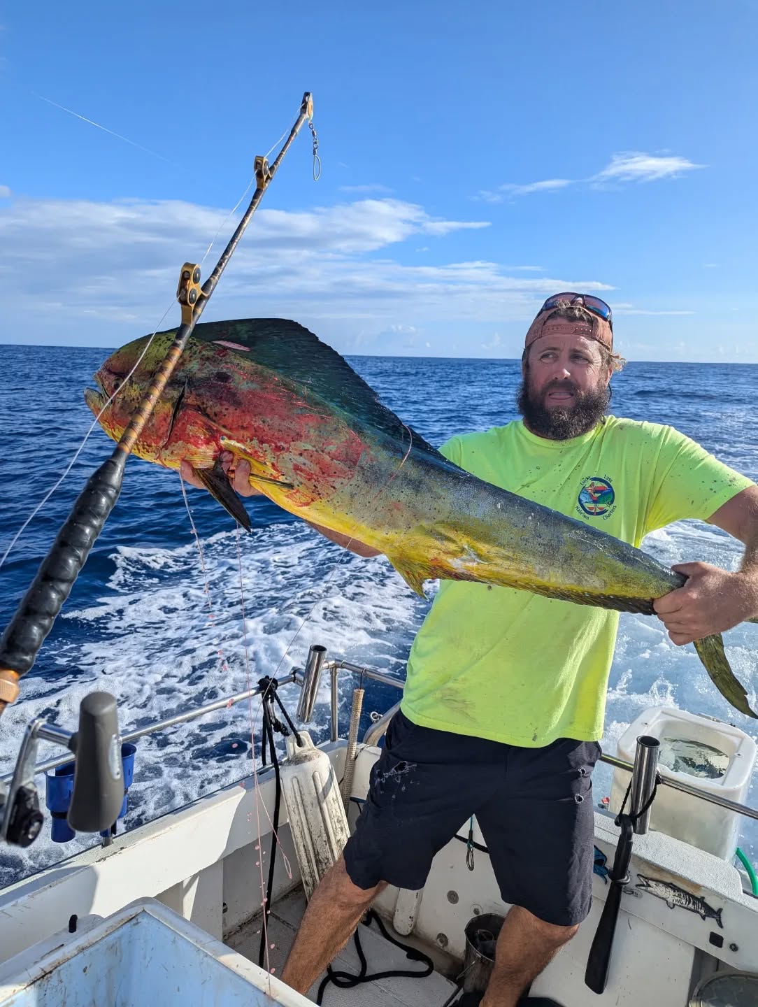 How's this Mahi! Captain Matt showing off this beaut! Caught on today's 1/2 day charter!
For charters check out:
Gofishoahu.com
haleiwafishingcharter #mahi #ono #northshoreoahufishing #northshoreoahu #northshore #hawaiifishing #fathersonfishing #oahufishing #oahu #lines #lures #rods #reels #bait #tackle #polebender #pelagicfishing #trolling #boattrip #bottomfishing #pelagic #freshfish #freshcatch #mahifishtacos #gofishoahu #luckylasshaleiwacharters