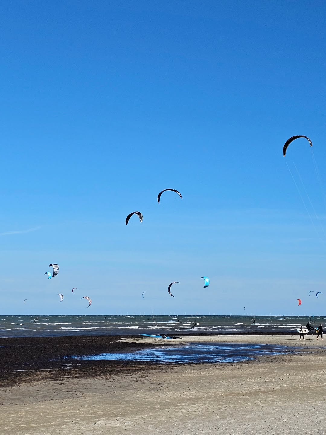 Mit dem Herbst kommen auch die perfekten Windbedingungen hier auf Fehmarn 🌞
#hausimfelde
#Fehmarn
#ferienwohnungen
#ferienappartements
#Windsurfen
#wingfoil
#kitesurfing
#ostseeliebe
#Puttgarden