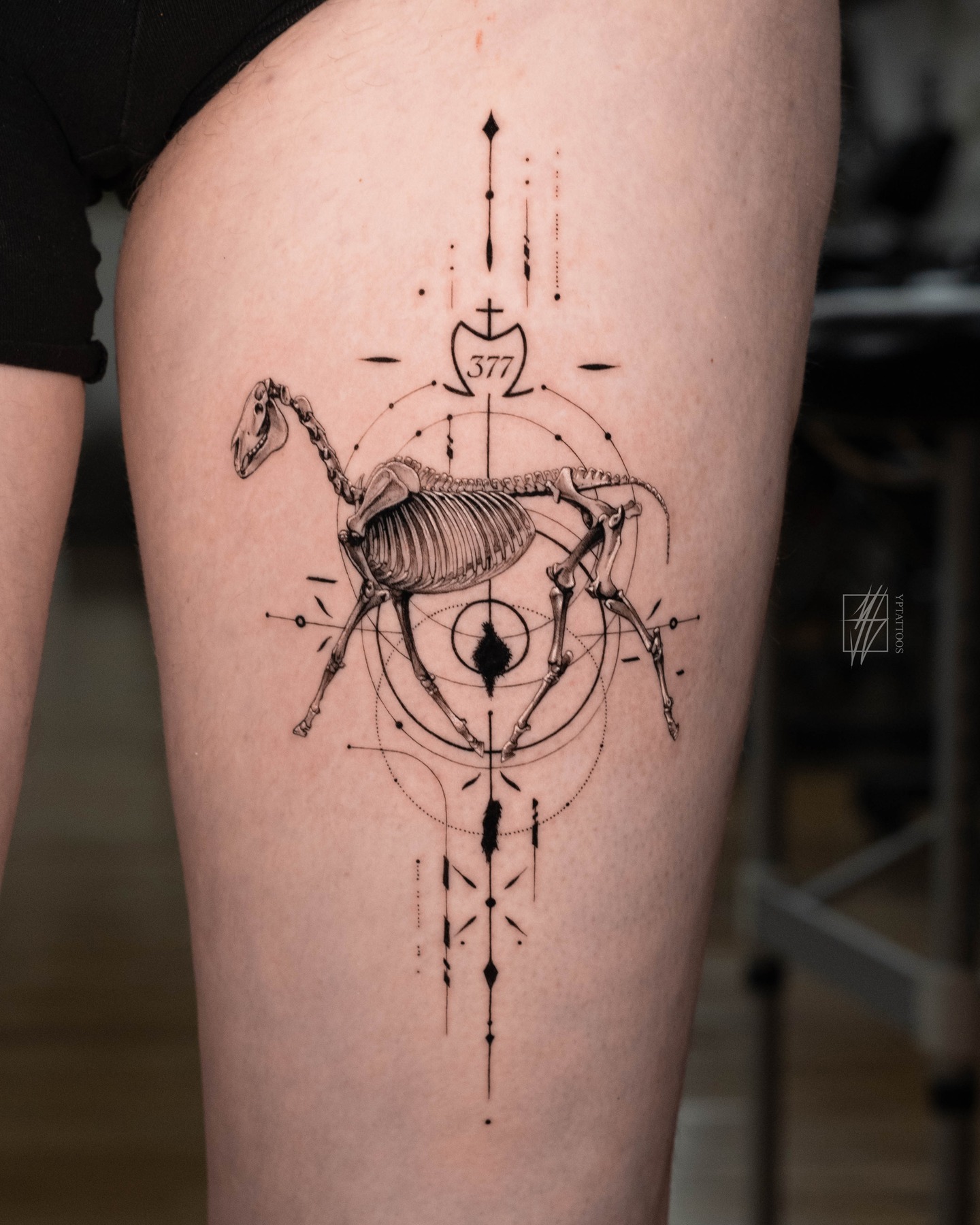 In the silent architecture of bones and lines, dedication moves with each step. š
It was an absolute pleasure bringing this design to lifeāfrom the precise details to the delicate nature of the subject. Thank you so much for trusting me with your first tattoo, and Iām thrilled to know my work gets to travel with you. Hope youāre enjoying your time back home!
If youāre interested in starting your own project, feel free to reach out! I currently have slots available in the coming months and would love to hear all your ideas.
Inquiries are handled via email, and more info can be found through the link in my bio.
PETER / YPTATTOOS
#freshtattoo #microtattoo #animaltattoo #finelinetattoo #geometrictattoo #lamanigancetoronto #torontotattoo