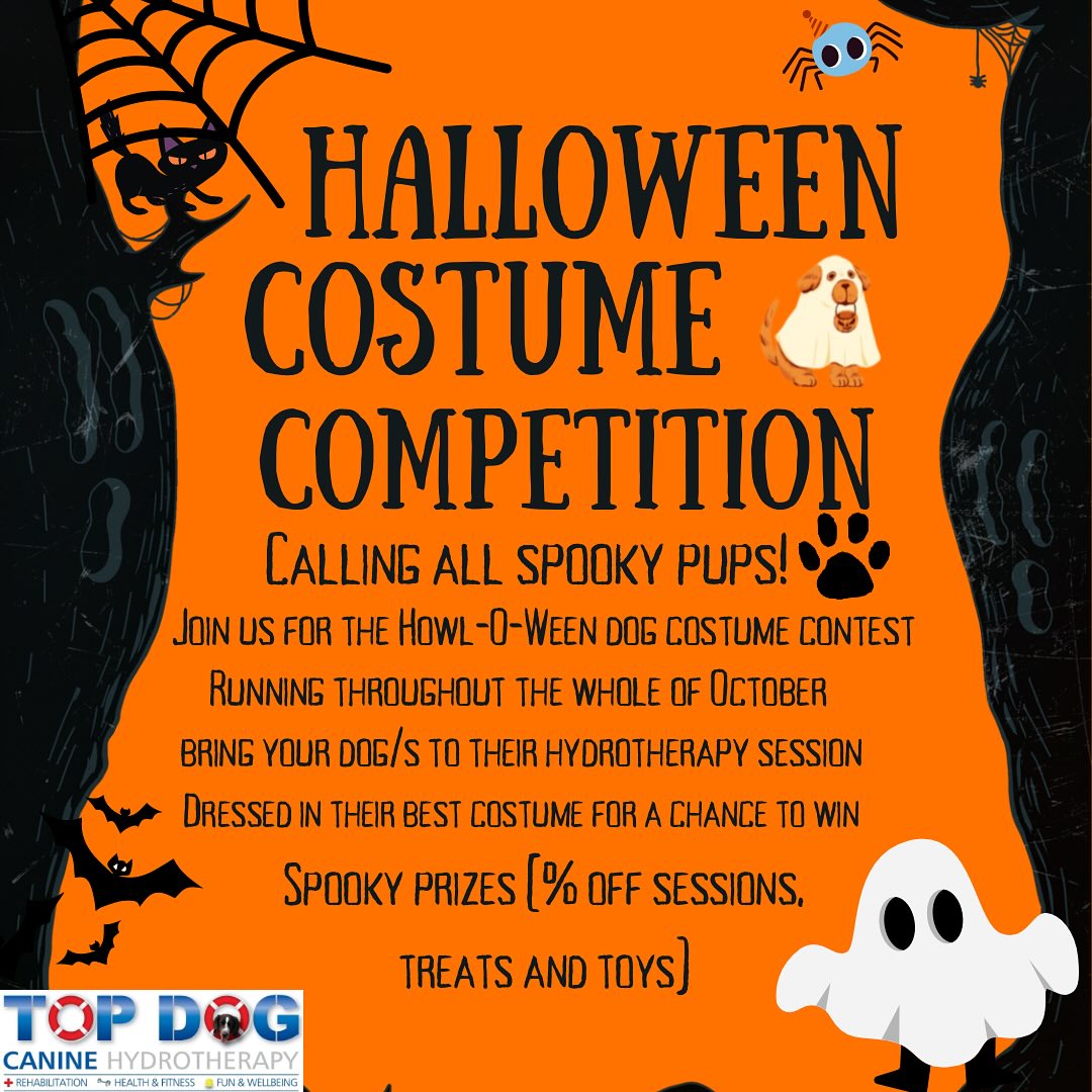🎃👻 HALLOWEEN DOG/ CAT COSTUME COMPETITION! 👻🎃
Get ready for some spooky fun! All through October, we’re hosting a Halloween costume competition for your furry friends! 🐶🕸️
All you need to do is:
Bring your dog to their session dressed in their best Halloween costume.
We’ll snap a spooky (or adorable!) picture!
At the end of the month, we’ll upload all dogs to our social media and let YOU vote for your favourites!
🏆 Winners will receive pawsome prizes, including:
✨ Discounts off sessions
🍬 Treat-filled goodie bags
🎁 Fun toys & more!