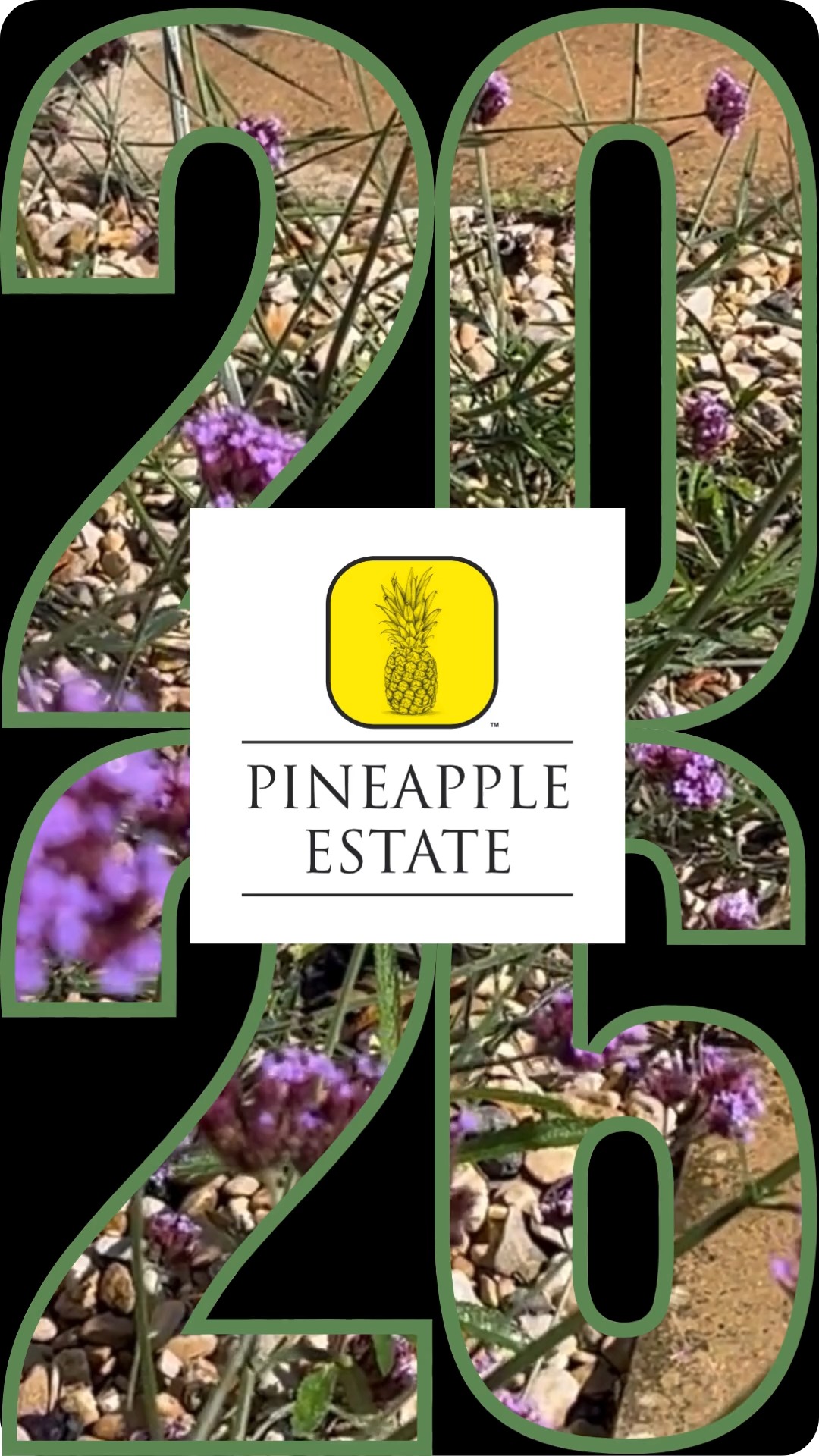 Will you be one of the first for 2026?
www.pineappleestate.co.uk/farmholidays
#campingwithdogs #campinglife #dorset #southwest #bridport