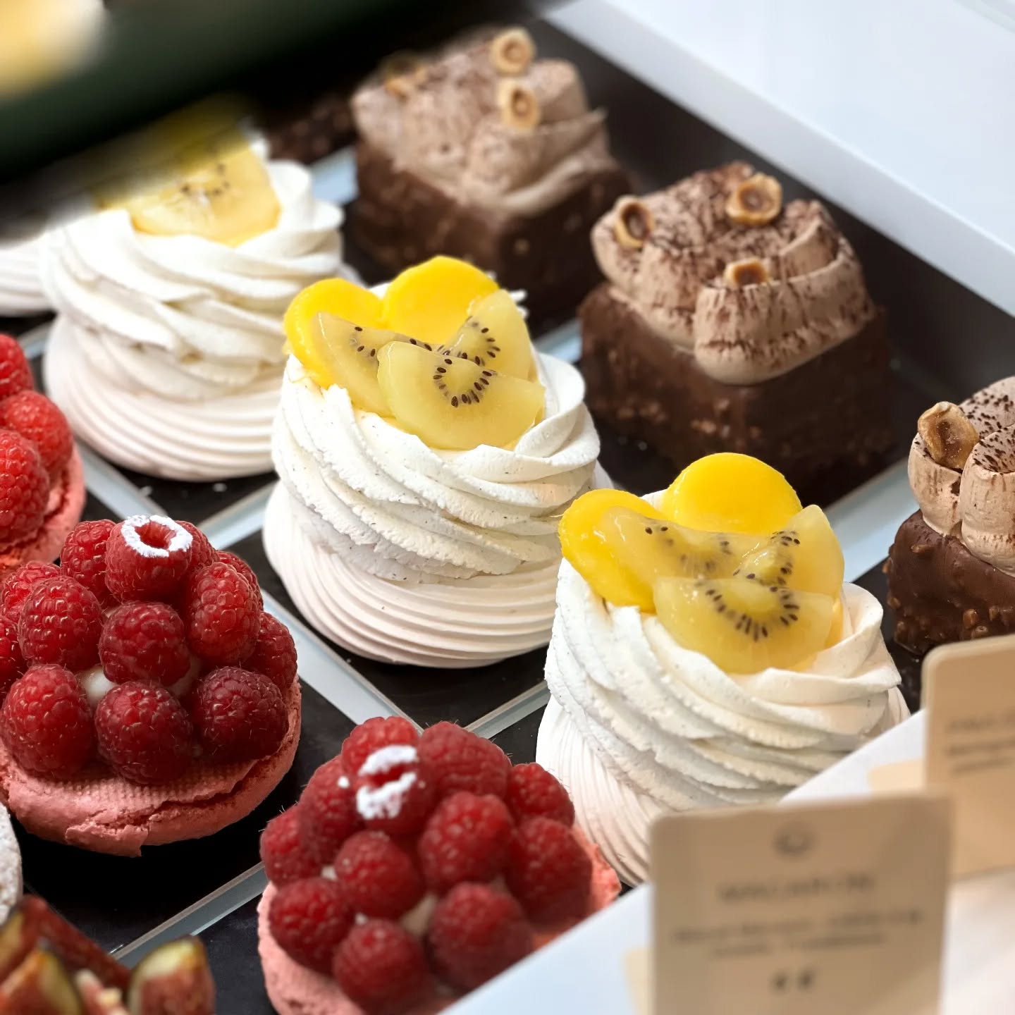 Découvrez notre Pavlova aux fruits exotiques :
âą Meringue croquante
⹠Chantilly vanille légÚre
⹠Crémeux mangue-passion
âą Fruits frais : mangue & kiwi jaune
Une création colorée, acidulée et pleine de fraßcheur pour illuminer vos pauses gourmandes.
đ Disponible dĂšs maintenant Ă la boutique, 14 avenue MarĂ©chal Foch â Nice.