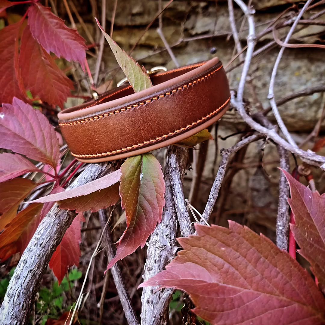 🍁 Un collier aux couleurs de l’automne 🍁
Rouka vous présente ce collier :
🌿 Cuir pleine fleur de la @tannerie_radermecker
🍂 Doublé veau et mousse néoprène pour le confort
🪡 Cousu main au fil de lin orange pour une touche automnale et chaleureuse.
Solide, confortable et durable, il est pensé pour accompagner votre chien dans toutes ses aventures quotidiennes, des promenades tranquilles aux jeux en extérieur.
Chaque détail est conçu pour le bien-être de votre compagnon et pour profiter pleinement de vos balades ensemble.
✨ Swipez pour découvrir tous les détails et voir Rouka le porter sous toutes ses facettes ! ✨
📷 @orelfly_photographe
#latelierduharas #collierchien #artisandart #cuir #faitmainenfrance #madeingard #surmesure #Beauceron #chien #jaimemonchien #accessoirechien
