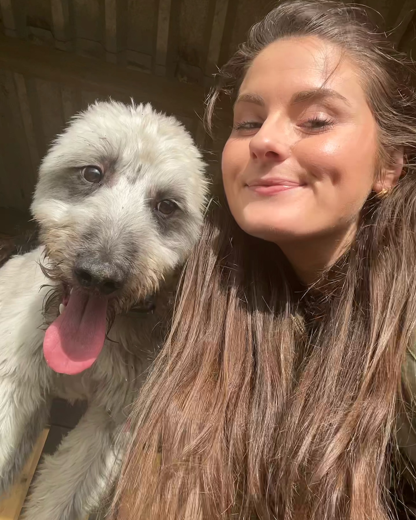 It’s Bluey boy’s gotcha day 🥹 Rescuing a dog is not easy; it’s been a ride but what a gorgeous boy we’re so lucky to have.
Blue likes:
- Every single dog ever to exist
- Harper
- Sitting down in the dirty Thames
- Running at full speed
- Chattering
- The pub
- Stealing shoes
Blue dislikes:
- Feathers
- Strangers ignoring him
- Being told he can’t steal plant pots and door mats
- Going home from doggy daycare
- Doing a wee when he needs to do a wee