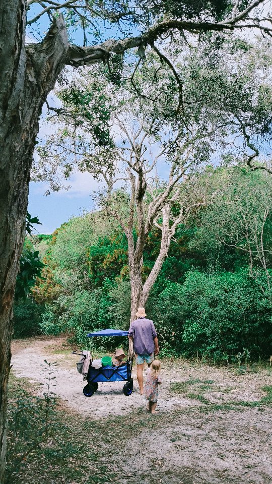 I was lucky enough to take last week off and spend it by the beach with my family. Walking through these bush tracks to get to a pretty deserted beach everyday was amazing.
We all came back sick, but regardless, I'm feeling reset and inspired to incorporate some of these seascapes and tangled bush scenes into my paintings 🌊🌿
The angles of the trees! My favourite banksia foliage, the sand dunes and interesting coloured cliffs... So much fresh inspiration
#australianbeaches #australianlandscape #queensland #australianart #australianartist #australianflowers #artprocess #coastalstyle