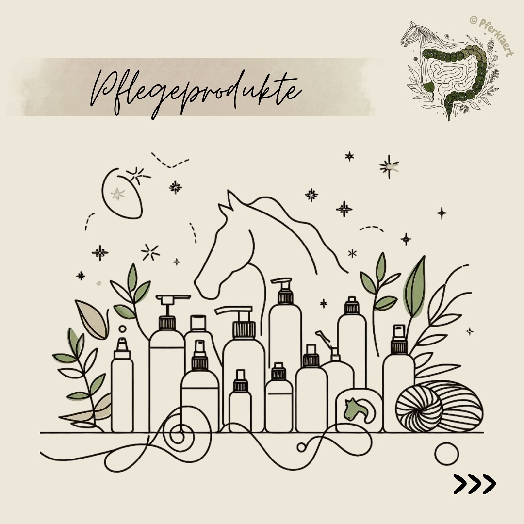 Ich möchte heute ein Thema mit dir teilen, das mir bei meinen Recherchen viele Fragezeichen, aber auch Aha-Momente beschert hat: Pferdepflegemittel. 🐴💭
Warum das so wichtig ist?
👉 Weil die Haut deines Pferdes nicht nur das größte Organ ist, sondern auch ein echtes Multitalent: Sie schützt vor Wind, Regen und Mikroorganismen, reguliert die Körpertemperatur, hilft beim Abbau von Giftstoffen – und ist gleichzeitig Heimat für eine ganze Welt an nützlichen Mikroorganismen. Dieses empfindliche Gleichgewicht kann durch falsche Pflegeprodukte schnell aus der Balance geraten.
Viele Pflegemittel enthalten synthetische oder minderwertige Inhaltsstoffe, die nicht nur Hautreizungen, Juckreiz oder Schuppen verursachen können, sondern auch die Hautbarriere schwächen. Das öffnet Tür und Tor für Infektionen oder andere Probleme. Besonders kritisch: Stoffe wie Silikone, Mineralöle, aggressive Tenside oder überdosierte Duftstoffe. 🚫
💡 Funfact (oder eher Shockfact): Selbst wenn ein Spray „natürlich“ oder „naturell“ heißt, ist das kein geschützter Begriff. Ein Produkt kann also voller synthetischer Stoffe sein – und trotzdem mit „Natürlichkeit“ werben. Greenwashing lässt grüßen! 🌱❌
Doch was macht ein gutes Pferdepflegemittel aus?
✔️ Es ist möglichst pH-neutral (der pH-Wert der Pferdehaut liegt bei ca. 6,3).
✔️ Es verzichtet auf aggressive Tenside und Silikone.
✔️ Es enthält nur Inhaltsstoffe, die Haut und Fell nicht versiegeln, austrocknen oder reizen.
✔️ Es setzt, wenn möglich, auf natürliche Rohstoffe – in richtiger Dosierung und Qualität.