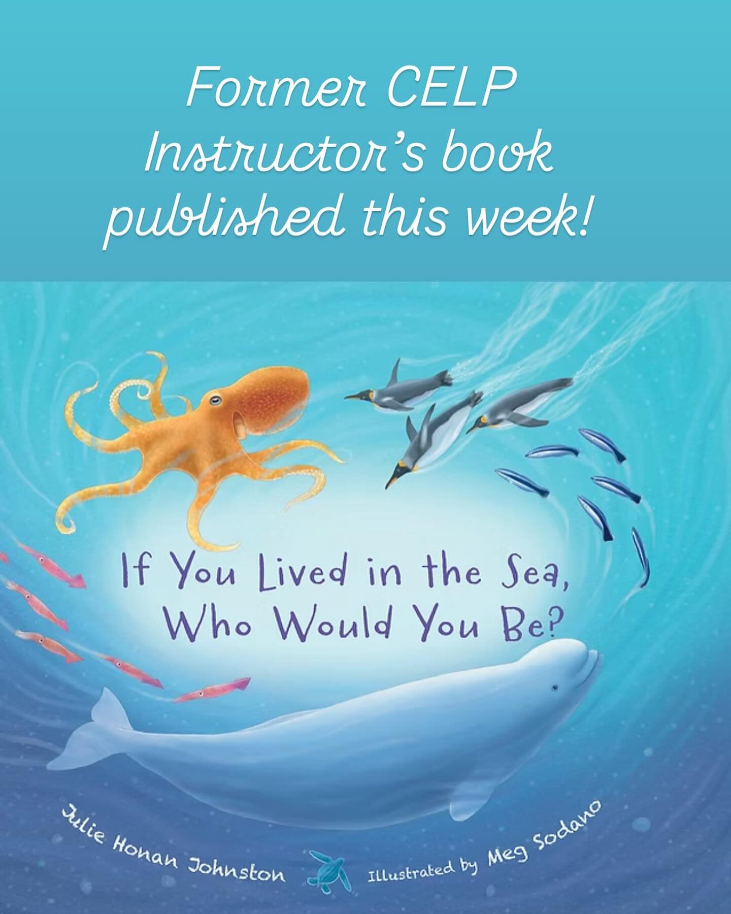 From former CELP instructor and author, Julie Honan Johnston, “I’m feeling especially grateful for my friends on Catalina Island @catalinacelp and especially my sister, Christine. When I joined the fabulous CELP program as an instructor more than 20 years ago, I had never seen a nudibranch and could not identify an anemone! They are both featured in this book. I learned so much and while working there, the title for this book popped into my head. Thank you for the inspiration, sister, and all the amazing CELP staff and teachers who bring their students! I’m hoping this book inspires kids to love the ocean the way CELP inspired me. #lovefortheocean #sealife #oceancreatures #ocean #picturebooks #debut #picturebookwriters #marinesanctuary #catalinaisland