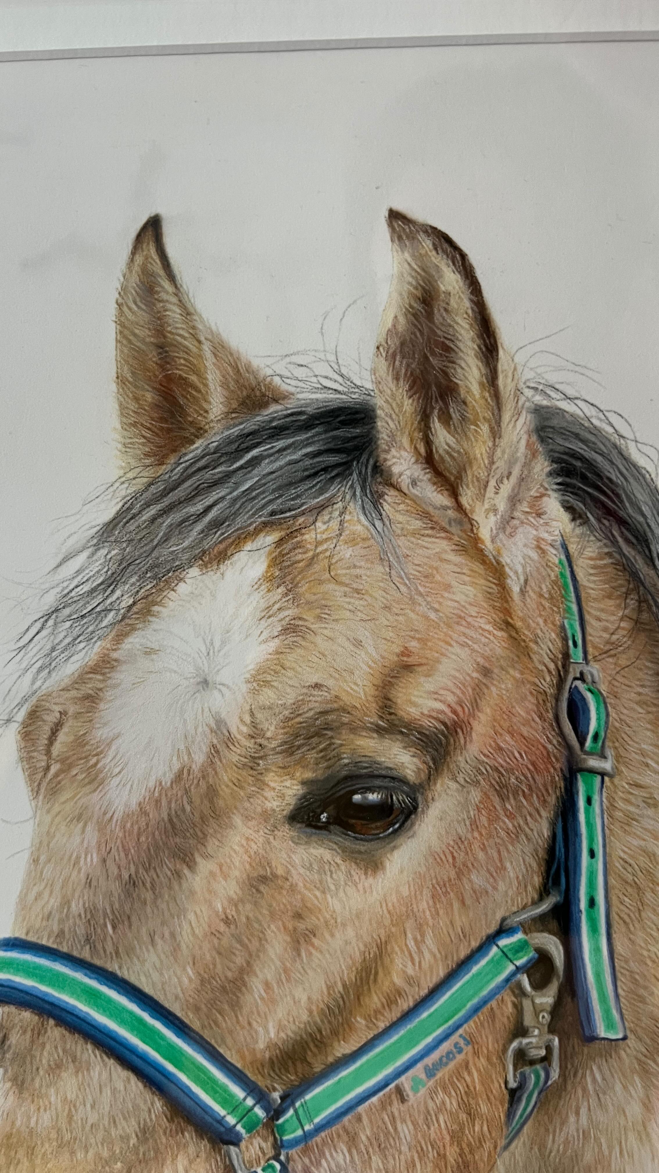 Pferdeporträt
// Pastellstifte, A3
.
.
.
.
#pastell #artbyviktoria #zeichnen #tierportrait #pferdeliebe #pferdeportrait