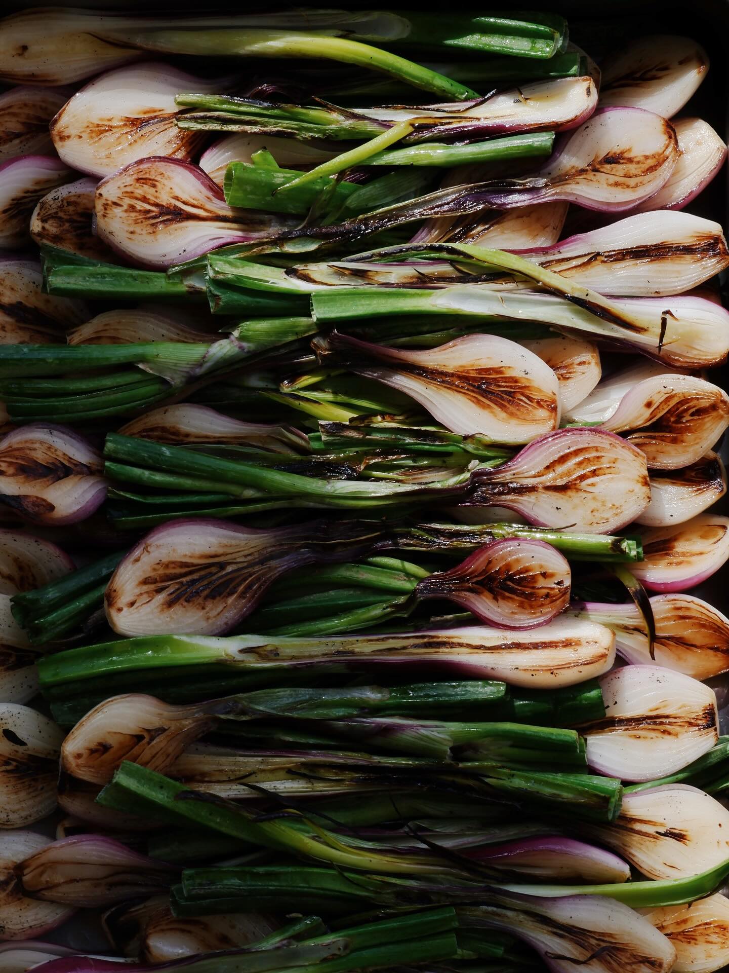 🧅 marqués comme on aime