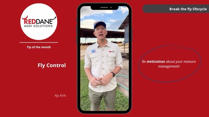Just in time, the September Tip of the Month is out - and a tip has never been so relevant! The flies are out in force at the moment, watch this video for some tips on how to keep them away from your cows, including how best to disrupt their breeding cycle through managing your manure correctly!
#reddaneagrisolutions #tipofthemonth #flycontrol #cattlefarming #controllingfliesincattle #wearelivestock
