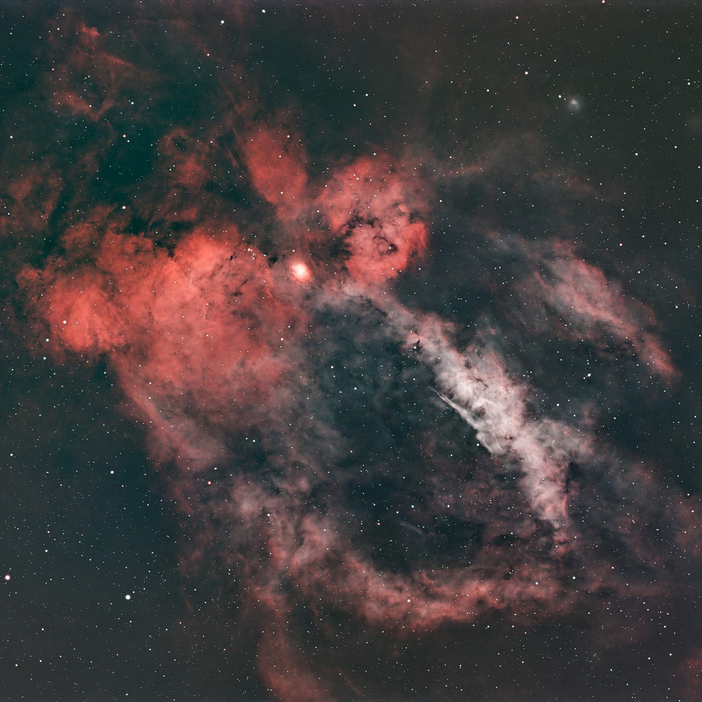 SH2-157 Lobster Claw Nebula #astrophotography