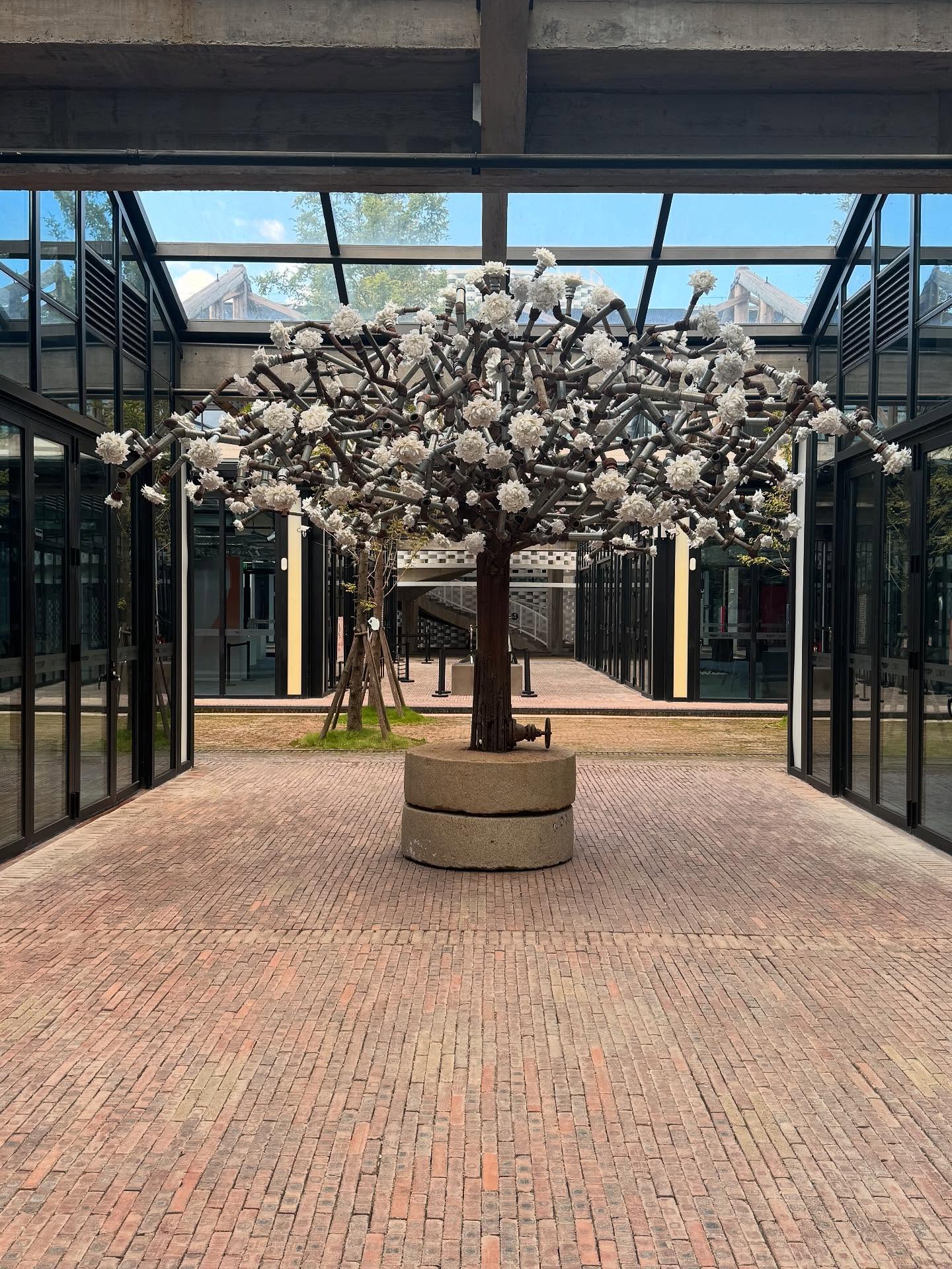 The iron tree blooms again, Dehua red flag museum…
铁树再次开花,在德化红旗坊艺术中心……
