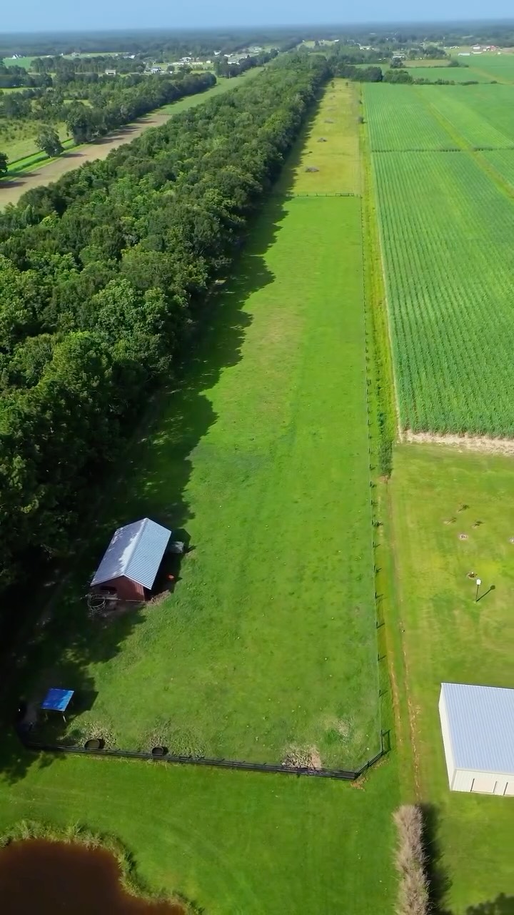 Knocked out 5,000 feet of this farmland fence💥
Built tough, clean, and ready for the herd.
If you’ve got land that needs lining - we’re the crew to call 🤠
I hope y’all love the video, leave a 🐄 in the comments if y’all want more footage like this!!
📞 337.989.1046
#stinsonfencing #cowfence #farmstrong #louisianabuilt #fencingdoneright #5000feetofwork #mudfest #barbwireandhogwirege