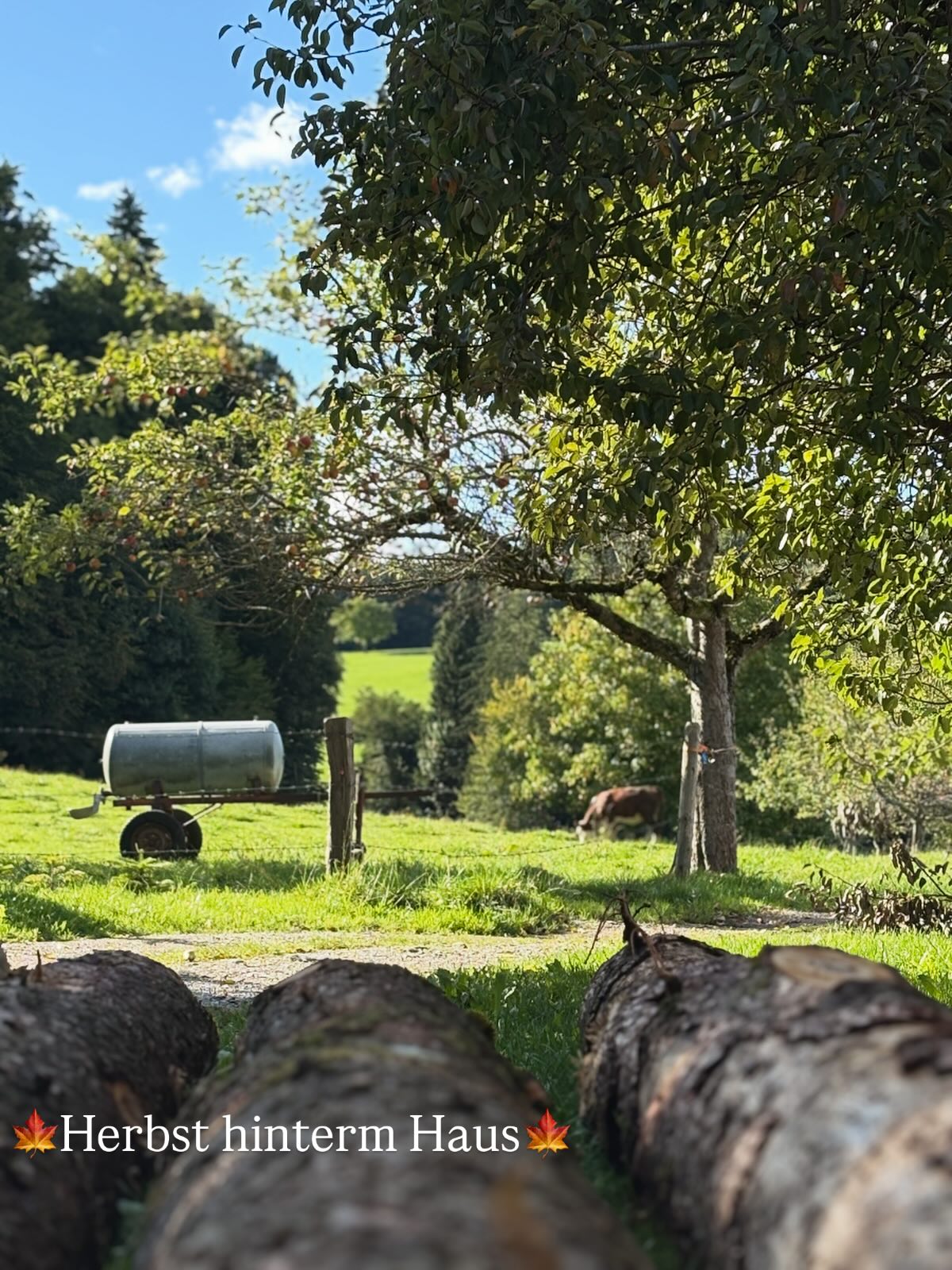 Wer von euch liebt den Herbst auch so wie wir? Abends kann man hinter unserem Haus eine ganz besondere Stimmung einfangen.
#herbst #herbststimmung #herbstgefühle #abendsonne #abendstimmung #abendausklingenlassen #urlaub #urlaubfürdieseele #urlaubinbayern #ferienwohnung #wanderhöfesamerberg #wandern #samerberg #servussamerberg #weissnhof_samerberg #weissnhof