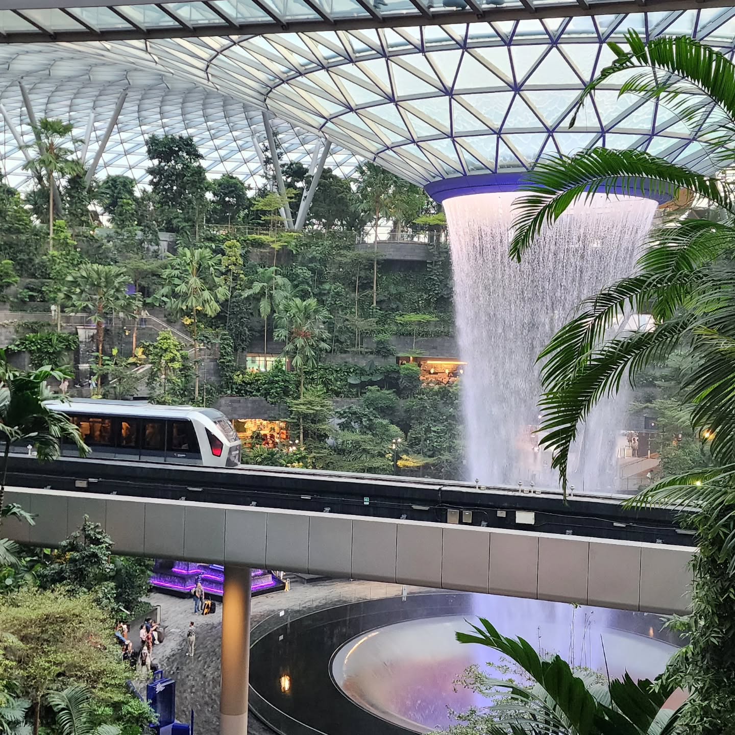 Vietnam, Week 1
Started with a quick overnight visit to Singapore, before flying to Da Nang.
From Da Nang it was off to Hue, with a day trip to Paradise Cave the following day.
Next day a visit to Hue Imperial City and then the day after that it was a day trip to Hoi An, but not without visiting Ba Na Hills and the Golden Bridge and another few spots along the way.
Then today was spent visiting the old city of Hoi An by Day and by night.
.
Read the blog posts (Link in Bio) for more photos and info about the trip.
.
#Vietnam, #GoldenBridge, @banahillsdanang, #ParadiseCaves, #Travel, #2025September