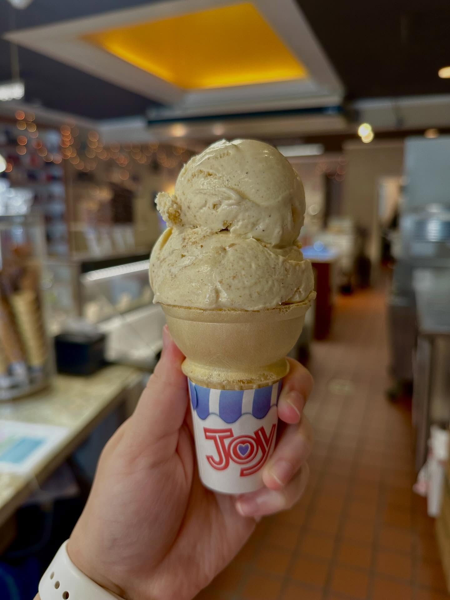 The moment we’ve all been waiting for is finally here…
🎃PUMPKIN ICE CREAM IS BACK!🎃
Run, don’t walk. Fall is officially SERVED!👻
#pumpkin #icecream #southstreetcreamerycafe #fall