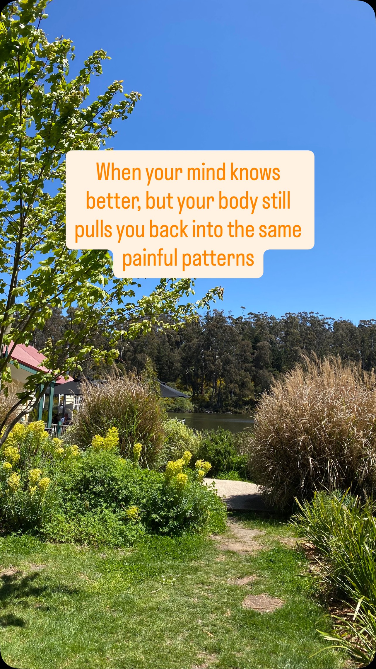 It’s so frustrating when your mind knows better, but your body still pulls you back into the same painful patterns 💔
That ache is your nervous system wired to chase what feels familiar, even if it hurts.
Somatic therapy and trauma healing help you rewire that pull at the root, so your body can finally relax into love that’s safe, secure, and nourishing.
Have you felt this cycle before? Comment below or DM me if you’d like to book a free connection call to explore your options with somatic therapy.