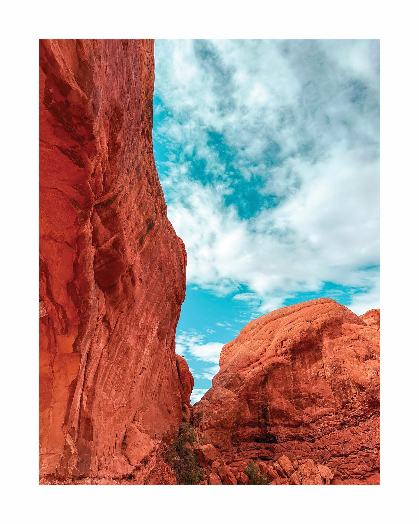 Parched
.
.
.
.
.
#archesnationalpark #arch #nationalparks #parkrangers #usa #parched #red #canyons #blue #sky #clouds #utah #balancedrock #redrocks #utahphotographer #photographer #picturesque #nature #travel #roadtrip #vacation #drive #moab #streetsphotography #rockfins #pinnacles #rock #stone #naturalstone #geology
