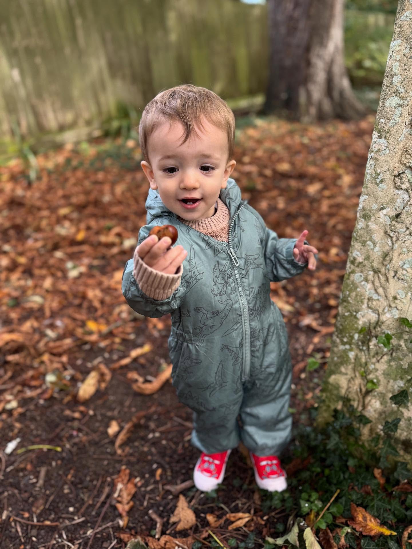 This week at Bridge Street Toddlers, we have been celebrating the start of autumn! ๐๐We went on a nature walk and explored the leaves, found conkers and different sticks!๐ชต๐งก
#autumn #nature #exploring #earlyyearsoutdoor