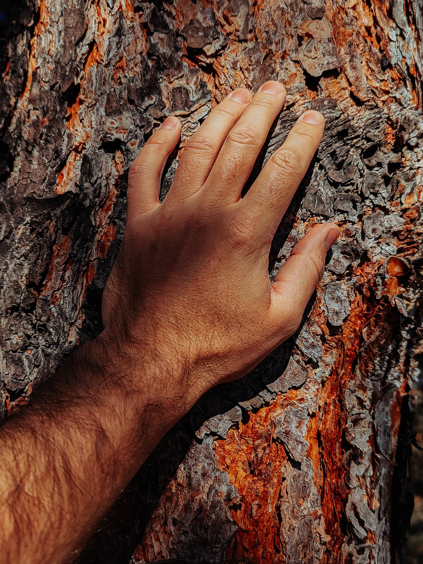 Solitude.
Lost in the Texture.
Shot on Google Pixel 7 pro