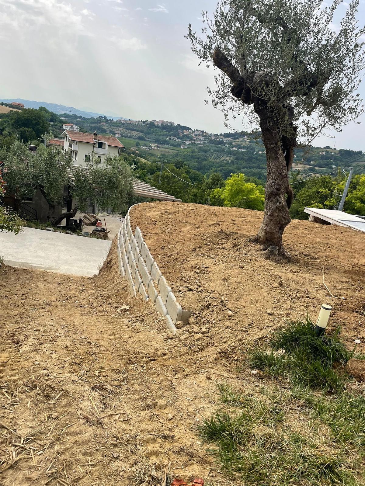 Torniamo dopo due anni dalla realizzazione di questo gioiellino firmato @savino_srls per effettuare una manutenzione di gestione delle varie essenze messe a dimora, dal rosmarino alla lavanda con splendidi esemplari di Euryops una Prato sano e snello e ulivi in netta ripresa… soddisfazione unica vedere le proprie idee prendere forma e crescere come da progetto 💪🏻
