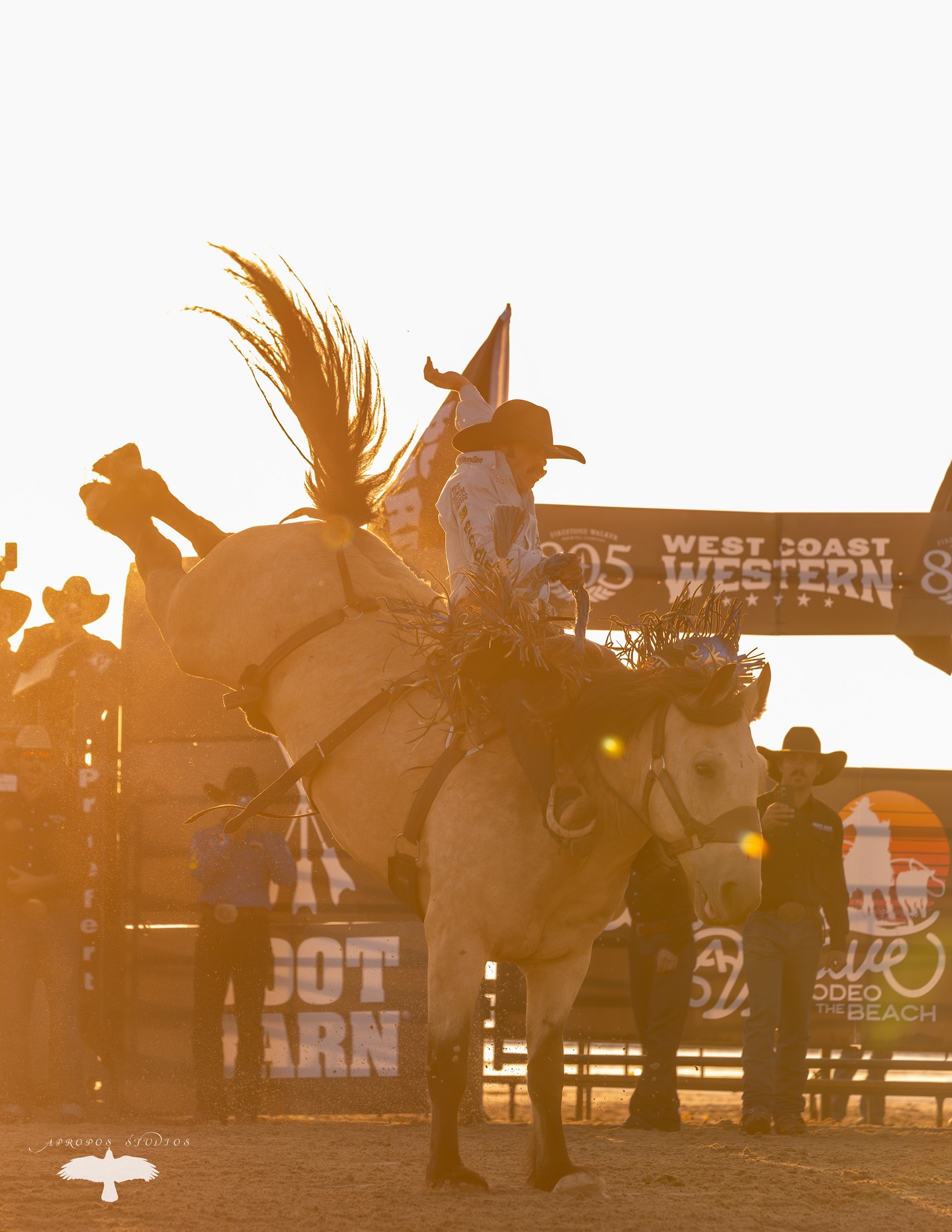 It's been overcast on the Central Coast quite a bit. Settling into some fall weather, I imagine.
Sure do miss the golden hour light right now!
#equine #rodeo #centralcoast