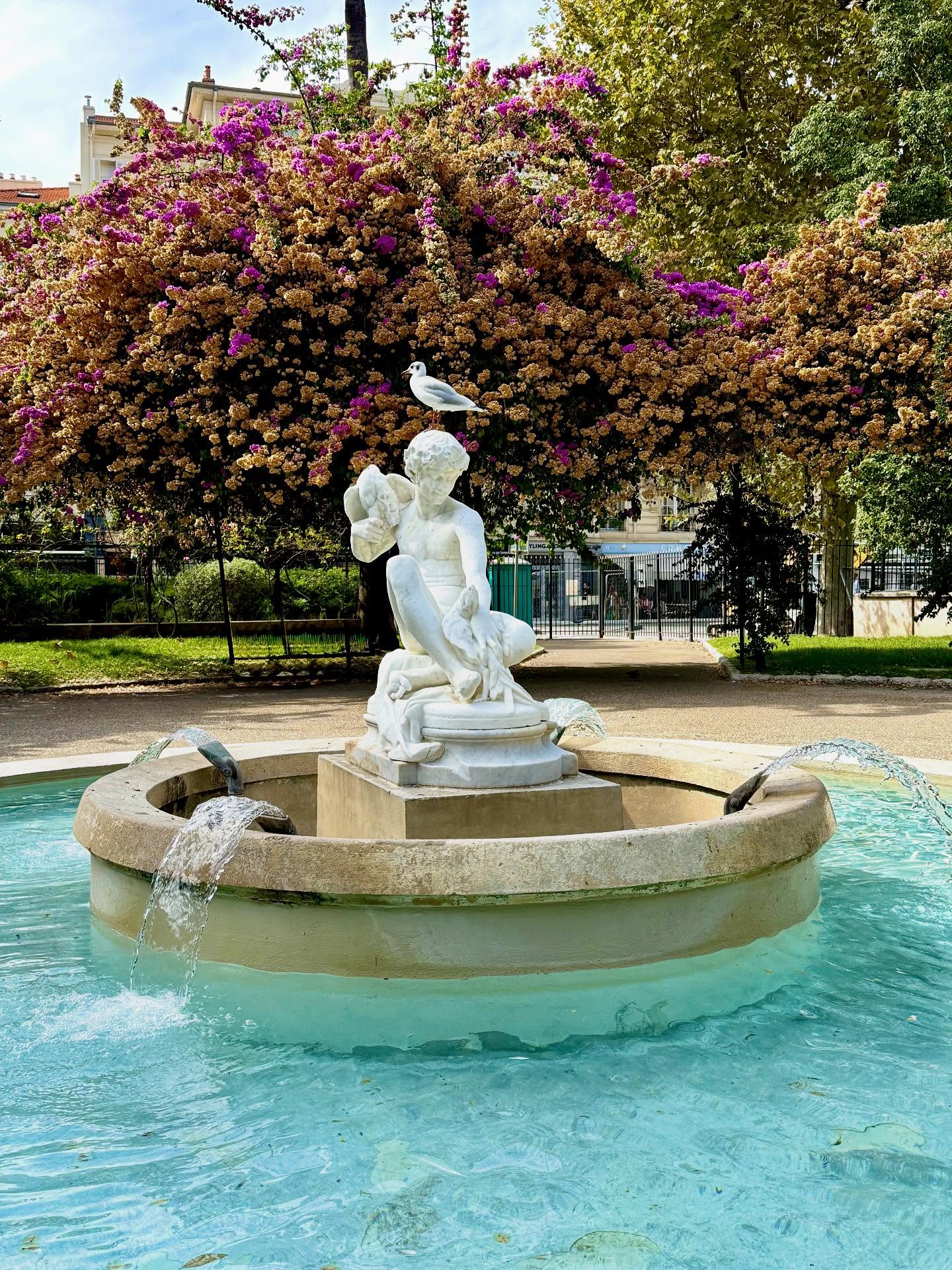 Sunday in the park #nice #nicefrance #nicecotedazur #nicefrance🇫🇷❤️ #nicefranceriviera #frenchrivieralife #frenchriviera🇫🇷 #mediterranean #mediterranée #retireandtravel #retireandenjoylife #france🇫🇷 #visitnice #ilovenice❤️ #cotedazurfrance #niceislove #travelbloggers #travelblog #travelblogging @visitcotedazur