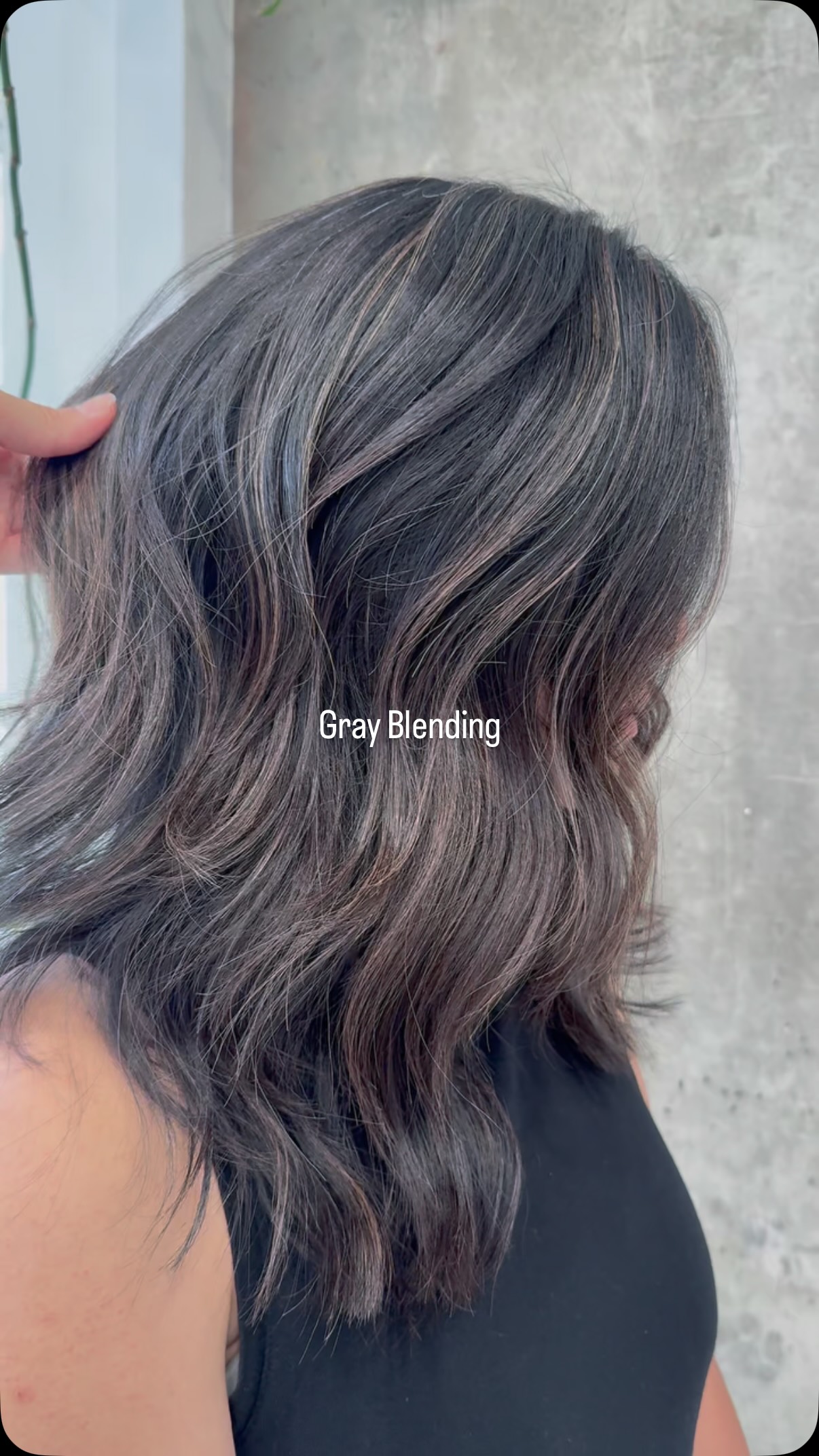 Gray blending doesn’t always mean going silver or gray.
This is a softer warm tone that enhances her natural look.
Every client’s gray journey can be unique.
Personalized to skin tone, lifestyle, and style preference.
Do you want to know what is your journey looks like?
✴︎
𝘠𝘰𝘶𝘳 𝘴𝘵𝘺𝘭𝘦, 𝘺𝘰𝘶𝘳 𝘧𝘭𝘰𝘸, 𝘺𝘰𝘶𝘳 𝘦𝘹𝘱𝘳𝘦𝘴𝘴𝘪𝘰𝘯.
✴︎
𝗕𝗢𝗢𝗞 𝗡𝗢𝗪:
🌐Online: www.flowwith.ca
💌More inquiries:
➜ TEXT: 587 894 2025
➜ DM: @flowwith_jenny (Replies might take a little longer!)
#CalgaryGrayblending #Grayblending #CalgaryHairSalon #CalgaryDowntownHair #YYCPersonalColor #FlowWithJenny #CalgaryBrunettes
@flowwith_jenny
@artistcollectiveyyc