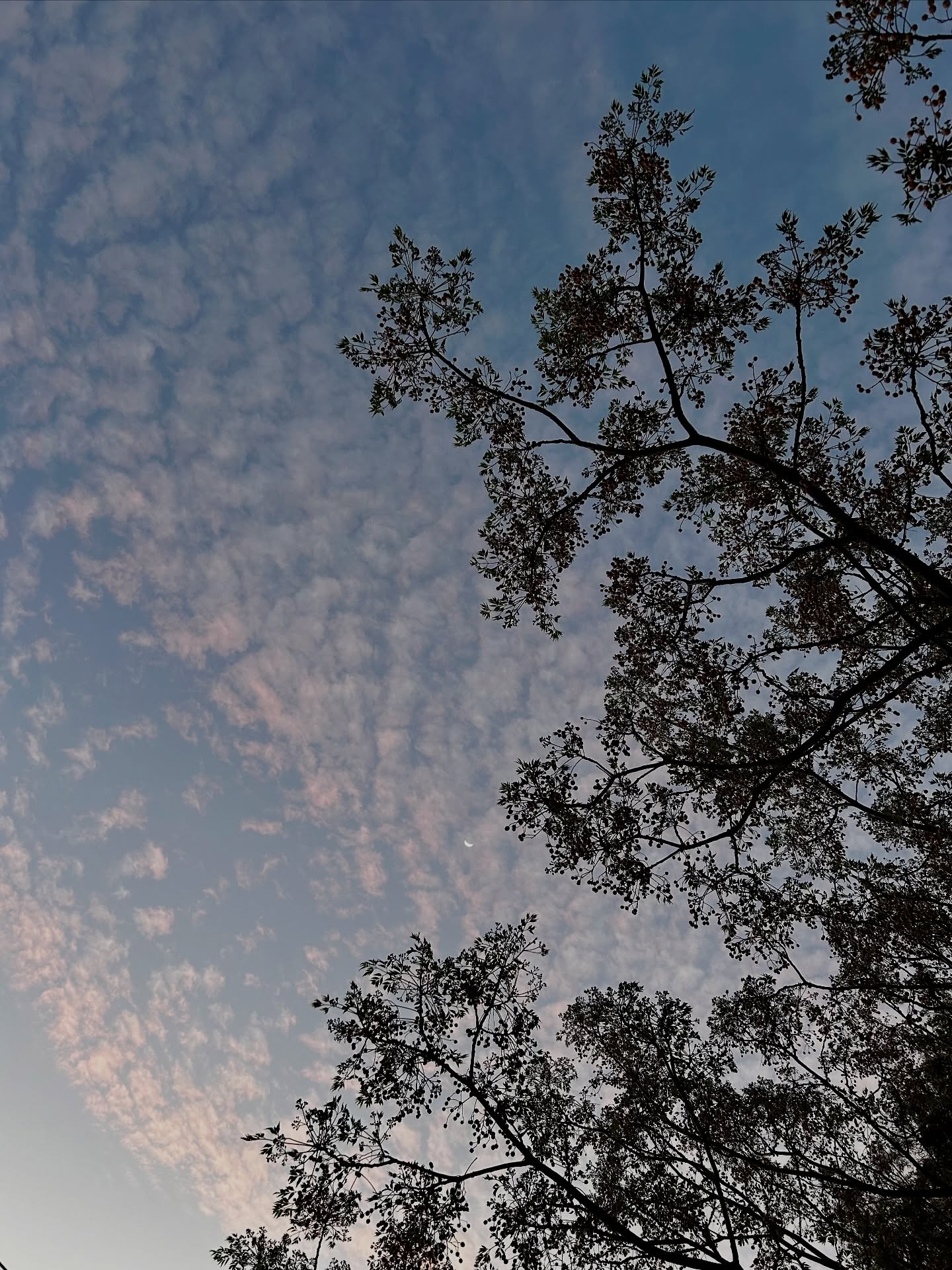 Nothing is so strong as gentleness, nothing so gentle as real strength.” – Saint Francis de Sales
#oliverock
#bestfriends
#marriage
#bestcouple
@poriumsa
@hannahstclairphotography
@olive_rock_venue
@saweddings
@tulbagh