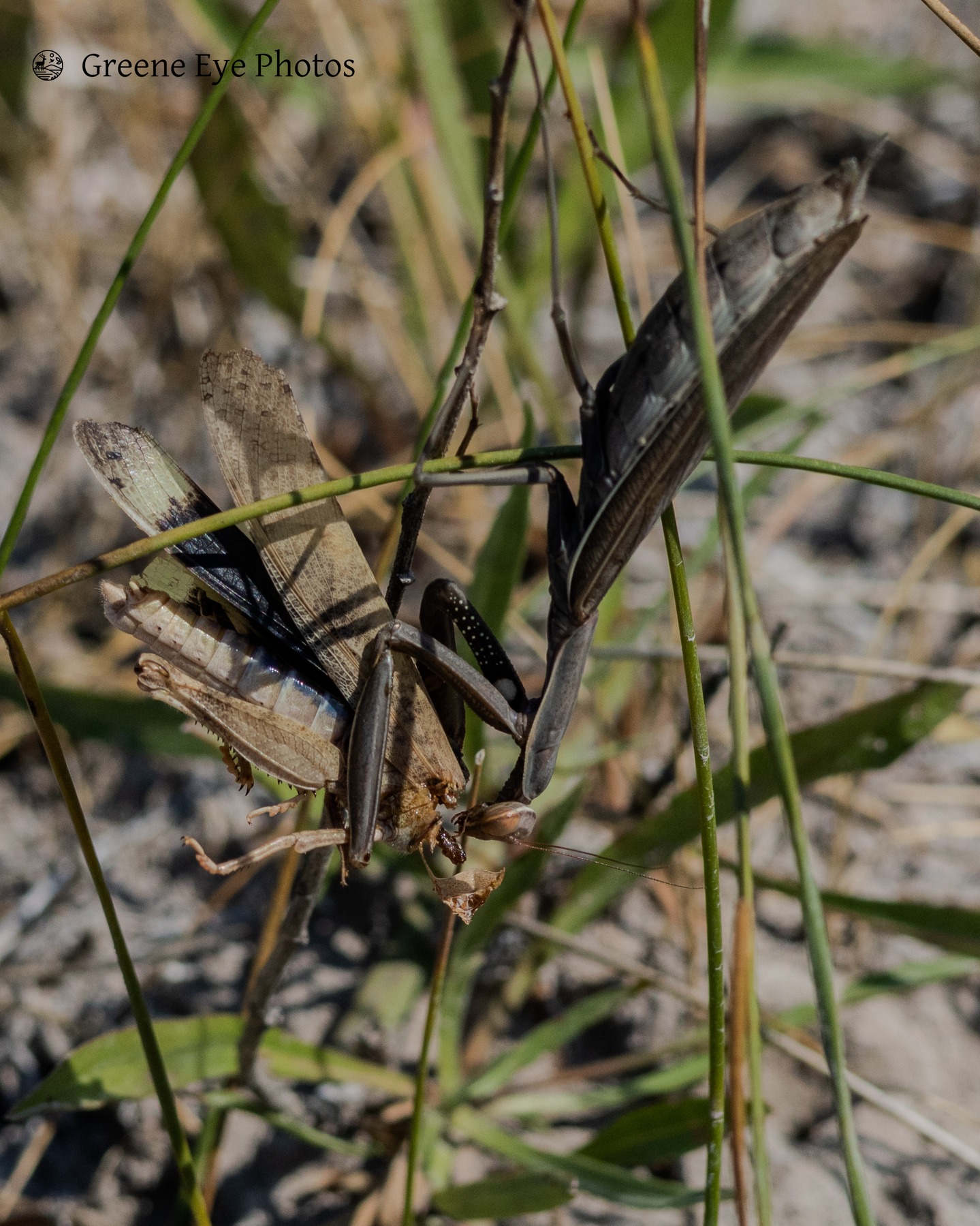 Yikes... Dinner time...