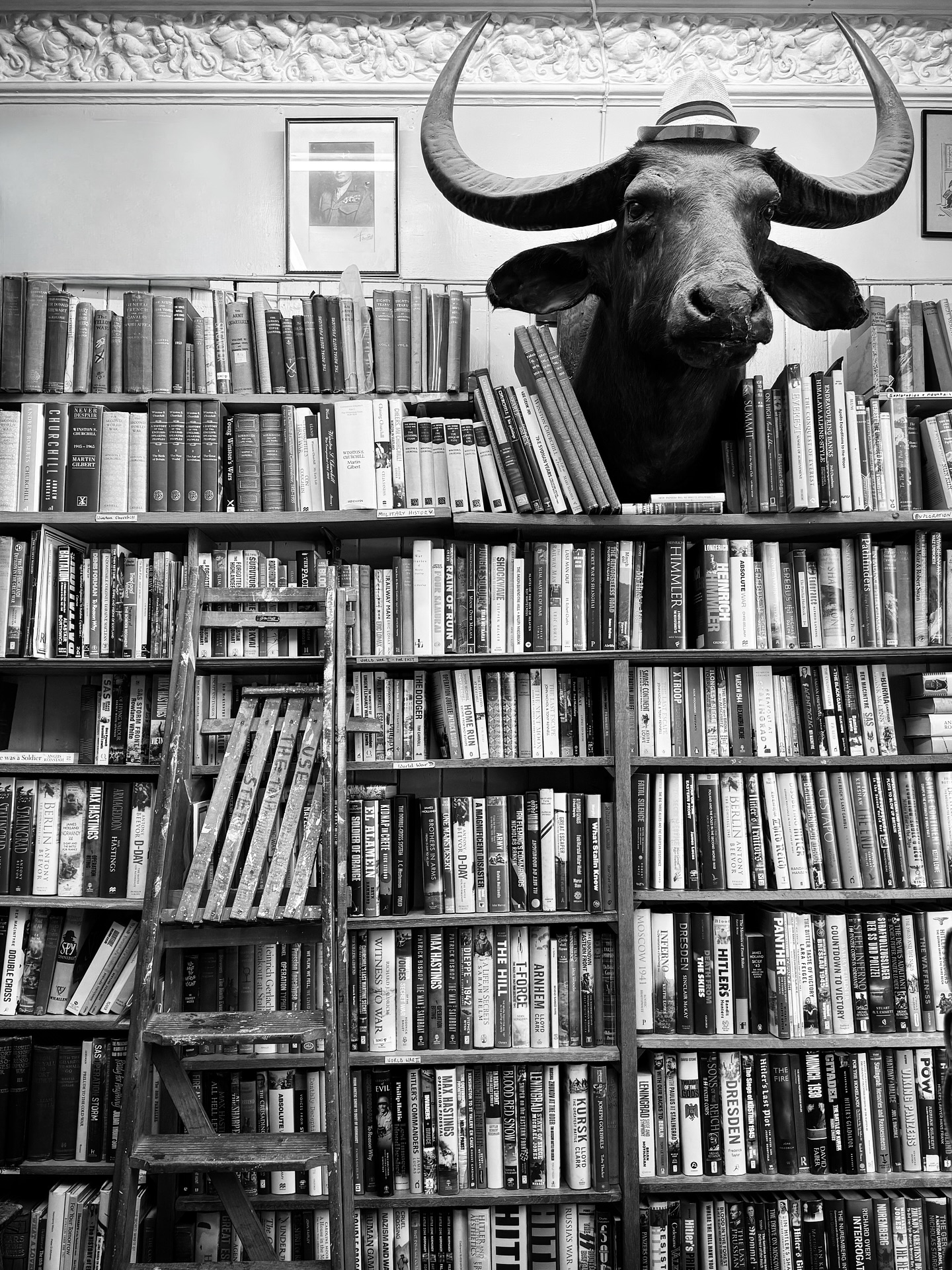 No one expects a buffalo wearing a fedora. This guy, ‘The Bookshop Guardian’ stands guard at Edinburgh Books in Scotland. It’s eccentric, it’s hilarious, and it’s the perfect reminder that great art and great stories can pop up in the most surprising of places.
(Link in bio to new collection - if you love books & art, you’ll be a happy camper!)