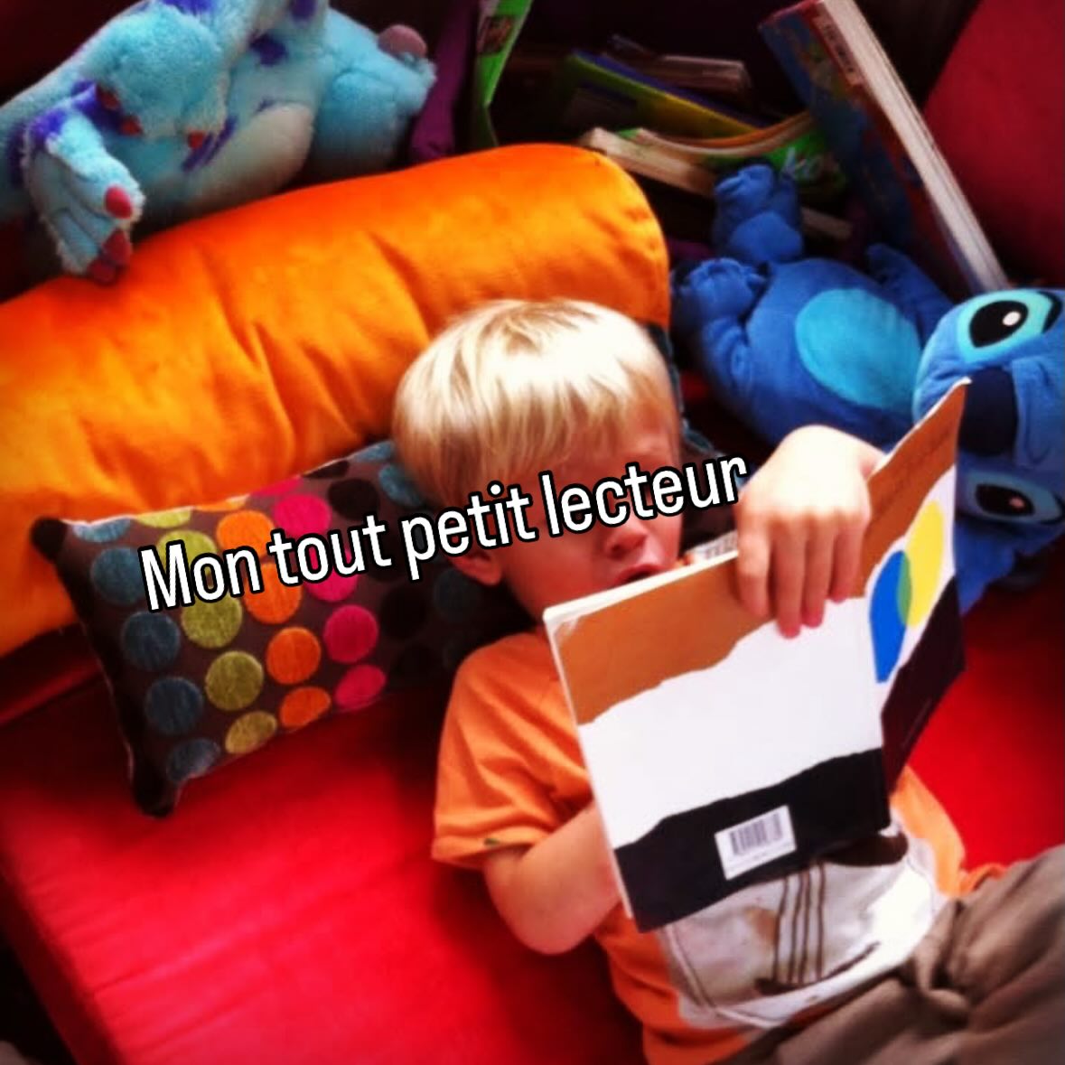 Il a bien grandi le poussin 🐥 qui lisait déjà tout seul à 2 ans
Il me manque ce petit lecteur
#bebelecteur #toutpetittulis #livre #lire #lecture #petitbleuetpetitjaune @leolionniofficial