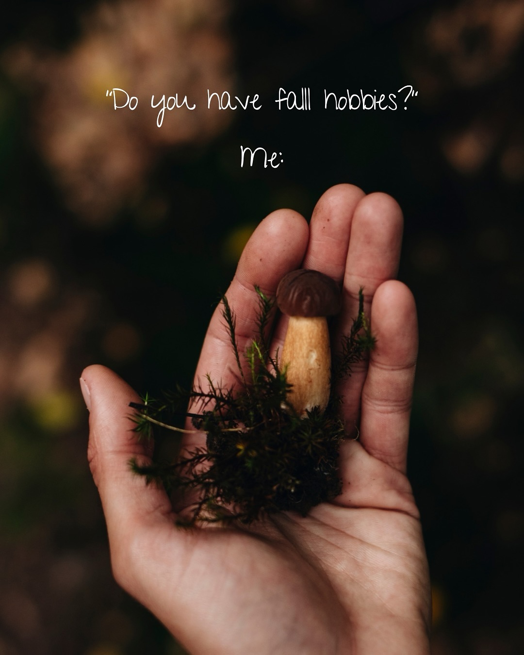 Mit Gummistiefeln und Weidenkörbchen durchs hohe Gras und das weiche Moos stapfen, bis die Finger ganz kalt sind. Das Kinn tief im Schal vergraben. Nach Hause zurückkehren. Die Hände an der warmen Suppe aufwärmen und dann all die Früchte, die über den Sommer herangewachsen sind, für den Winter konservieren. Herbst ist so besonders! 🍄🟫🍂🧺
#storytelling #foodphotography #stilllifestyling #autumnmood #slowsimpleseasonal #slowandlovely #onmytable #lifeandthyme #stillwithstories #astilllifestyle #calmversation #fallinlove #moodytones #simplethingsmadebeautiful #beautyofstillmoments #folkscenery #myseasonalstory #calmcollected #littlewanderersdiary #themoodytable #pinterestaesthetic