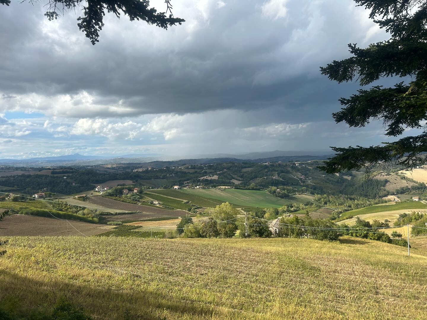 Day 3 of our journey feels like a true paradise here in Monte Rinaldo. Surrounded by rolling hills, ancient history, and the warm atmosphere of a hidden gem in the Marche region, every step reveals beauty and authenticity. Exploring local traditions, savoring flavors from the land, and taking in breathtaking views—it’s a perfect blend of culture and nature. A place where time seems to slow down, inviting you to simply enjoy life.
#MonteRinaldo #LeMarche #ItalyTour #HiddenGems #ItalianParadise #SlowTravel #AuthenticItaly #CulturalJourney #DiscoverMarche #TravelWithMEL #movingtoitaly