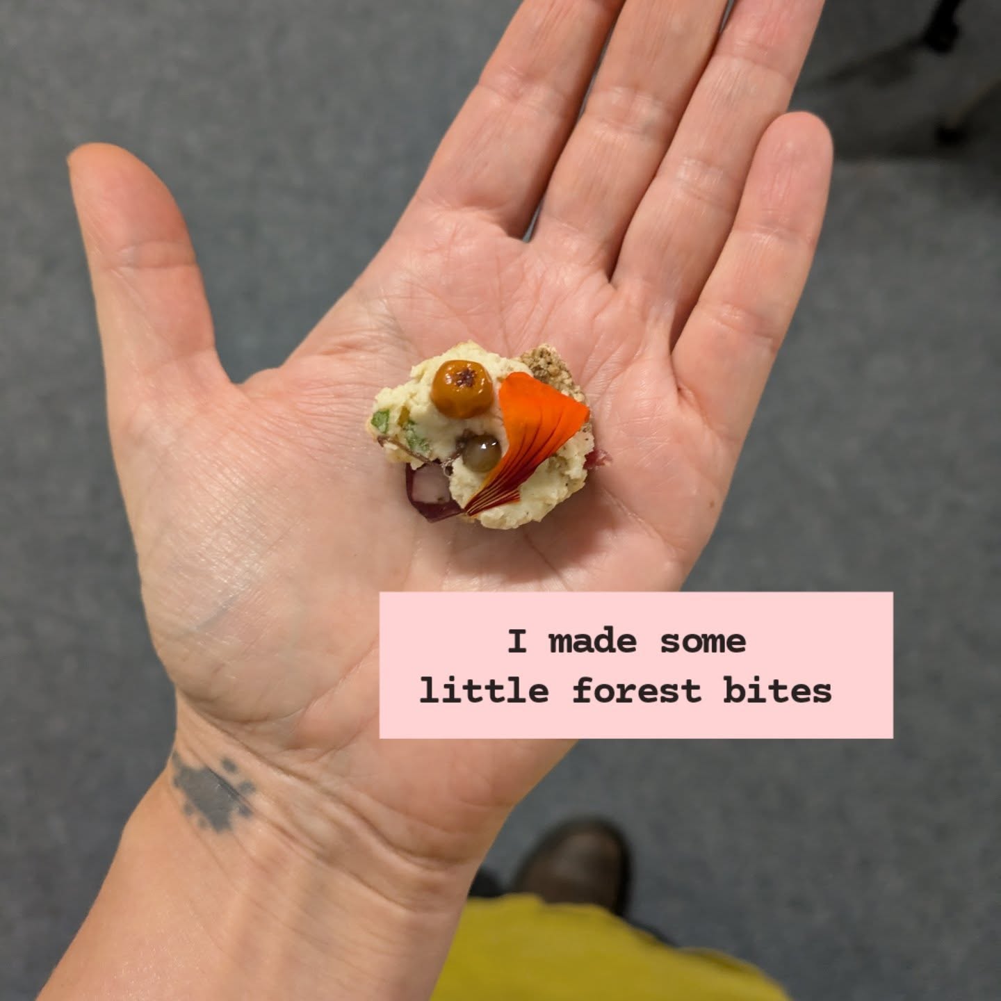 How cute are these little forest bites for the Lochaber Food and Drink Festival at the weekend?! 🥹🥰🌿
Swipe to see what's in them ➡️😎 I managed to pack TEN plants into the savoury ones. @tim.spector and @zoe would be proud!!
Featuring beautiful produce from @greatglencharcuterie 😍🦌
I also spent a bit of time talking about the @wildbiomeproject and @rurachd 🤗💚
Thanks so much to the @neviscentre for inviting me!