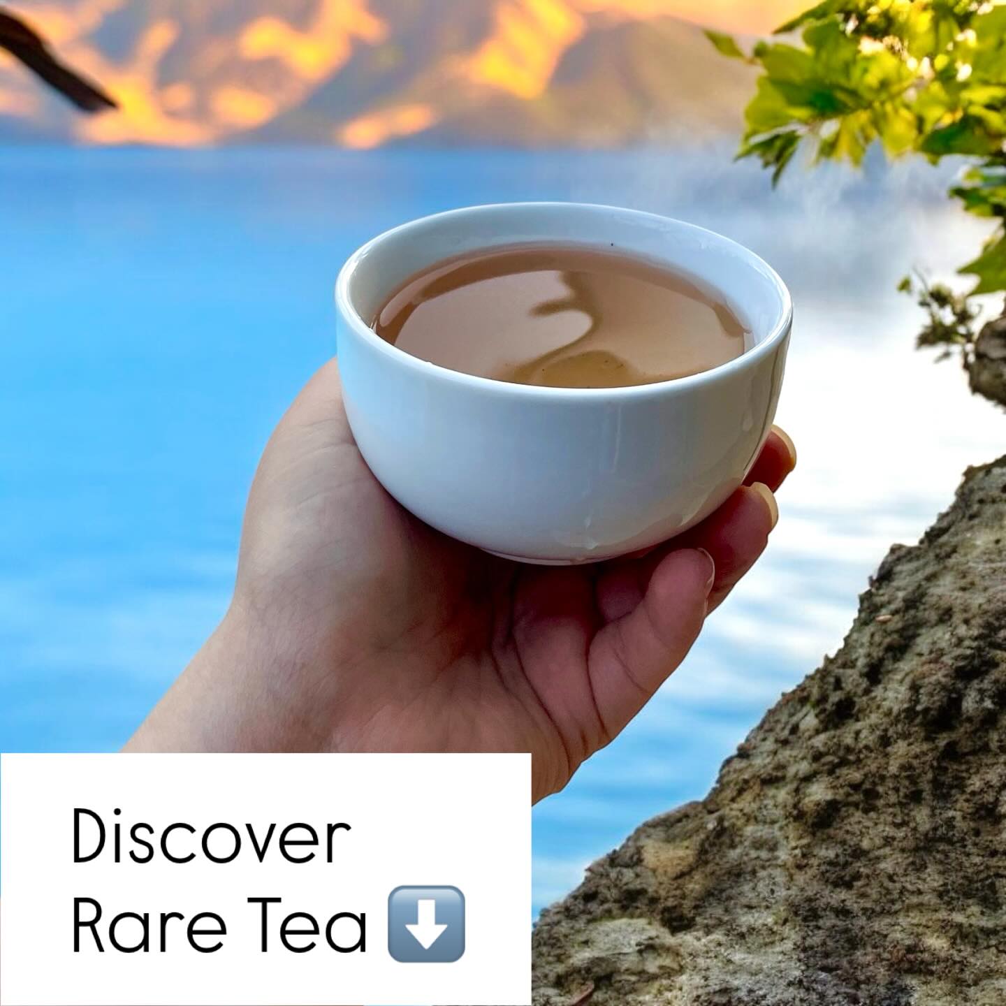 When big tea brands say they sell 'rare' tea, it doesn't always mean what you think. These companies produce tea in huge quantities, so their 'rare' teas are still mass-produced and widely available. True rare teas usually come in small batches from specific regions, made with extra care and limited supply
Our rare tea
🍃 Organic
🏔️ High Elevation Grown
🤲🏾 Hand Picked in small batches
🍵 Vibrant Flavor
#raretea #teaconnoisseur #uniquetea #organictea #teainnature #loosetea #teaoutside